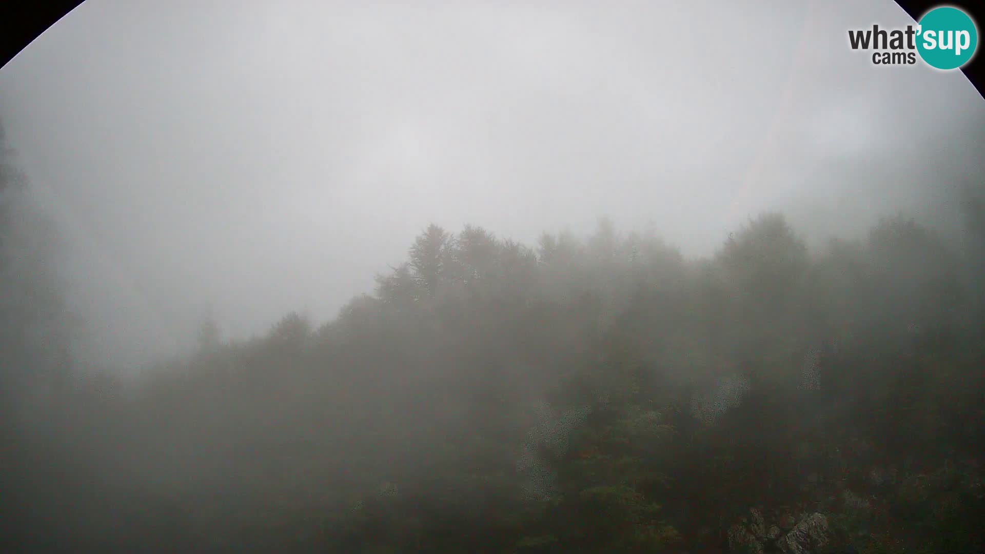 PLANINA RAZOR webcam (1315) | view to Vogel and Globoko