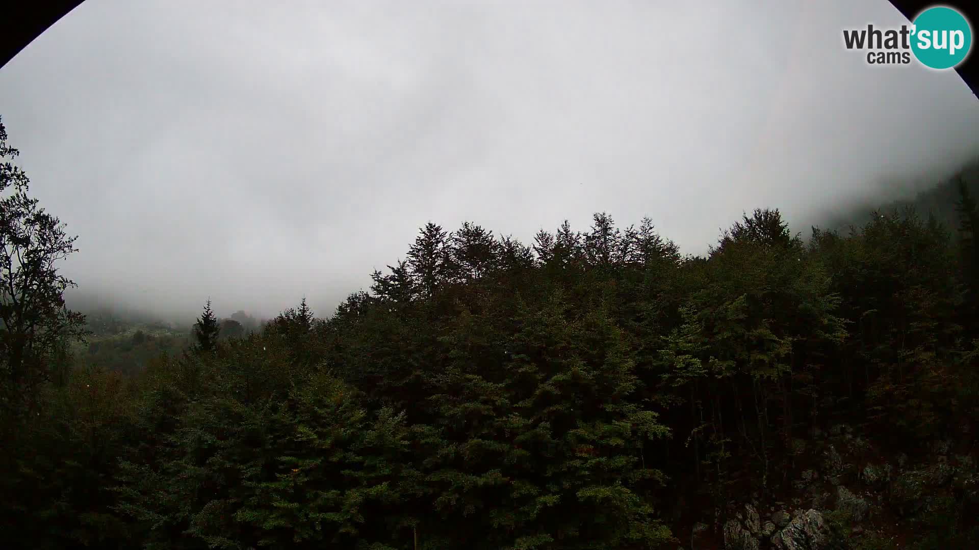 Livecam PLANINA RAZOR (1315) | vue sur Vogel et Globoko