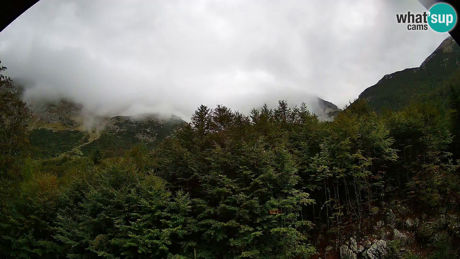 PLANINA RAZOR kamera (1315) | pogled na Vogel in Globoko