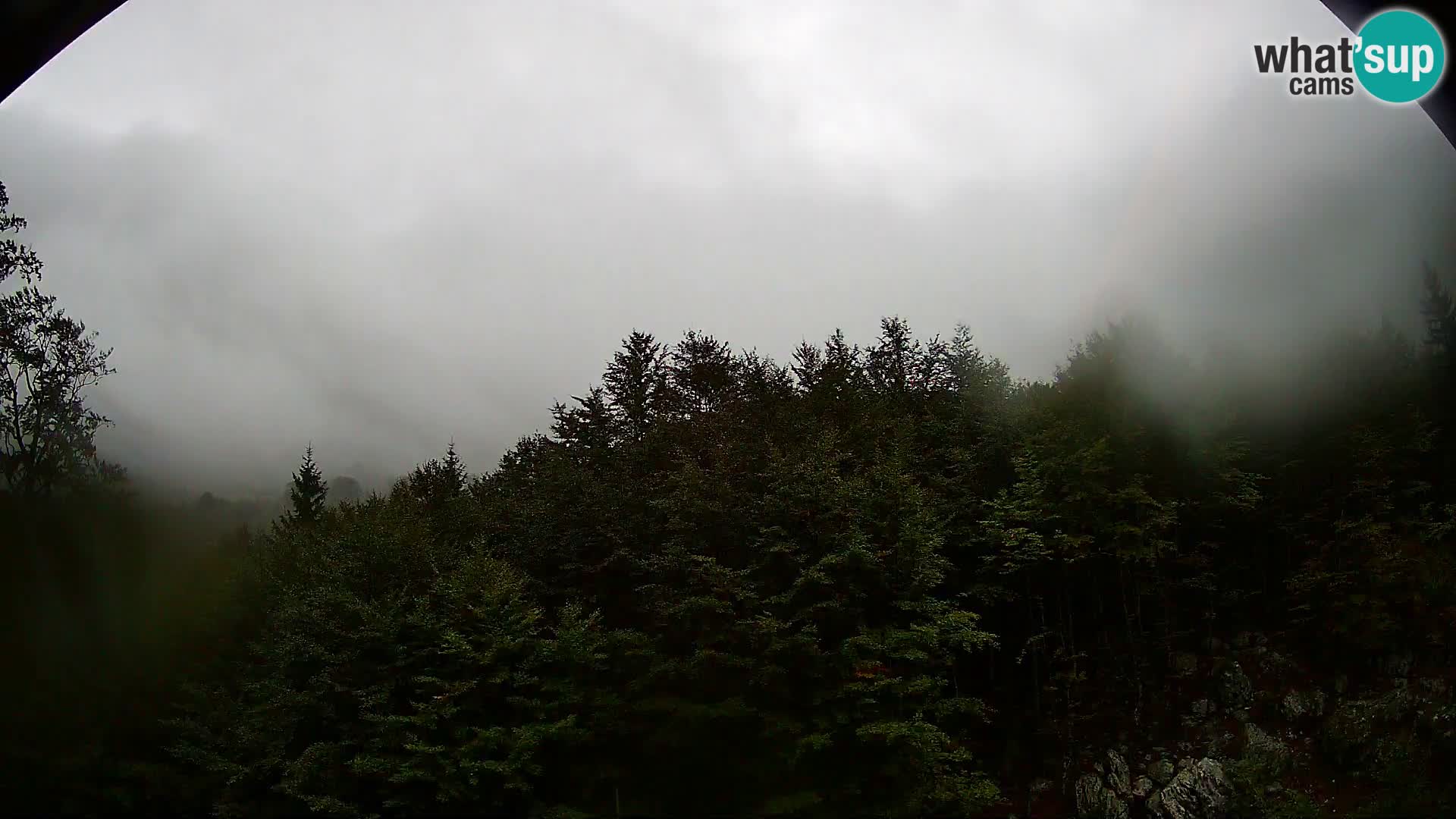 Webcam PLANINA RAZOR (1315) | Blick auf Vogel und Globoko