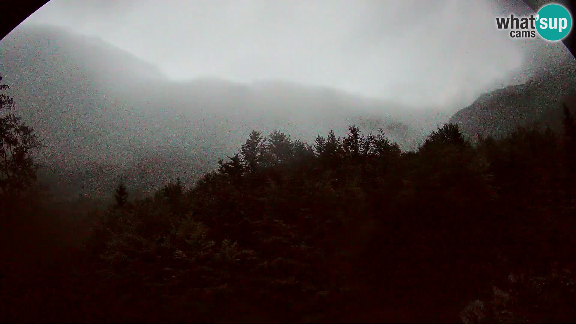 Livecam PLANINA RAZOR (1315) | vue sur Vogel et Globoko