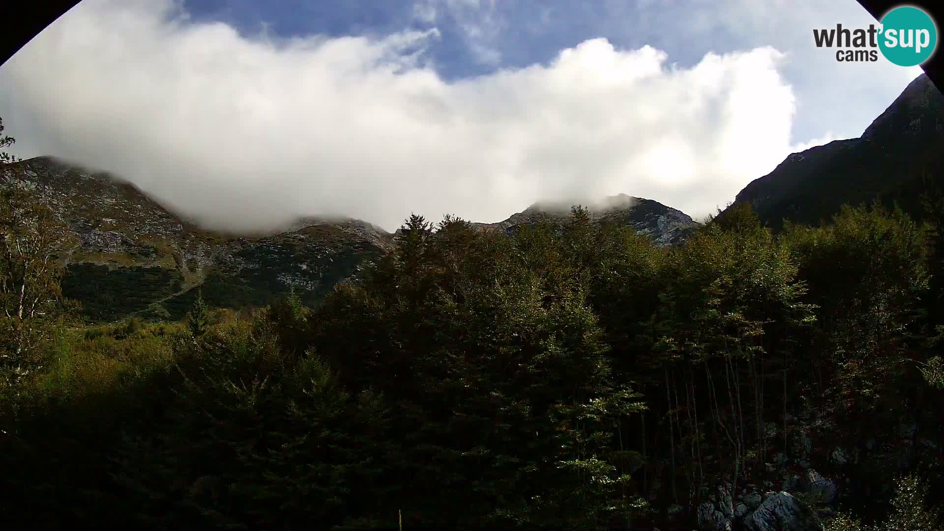Webcam PLANINA RAZOR (1315) | Blick auf Vogel und Globoko