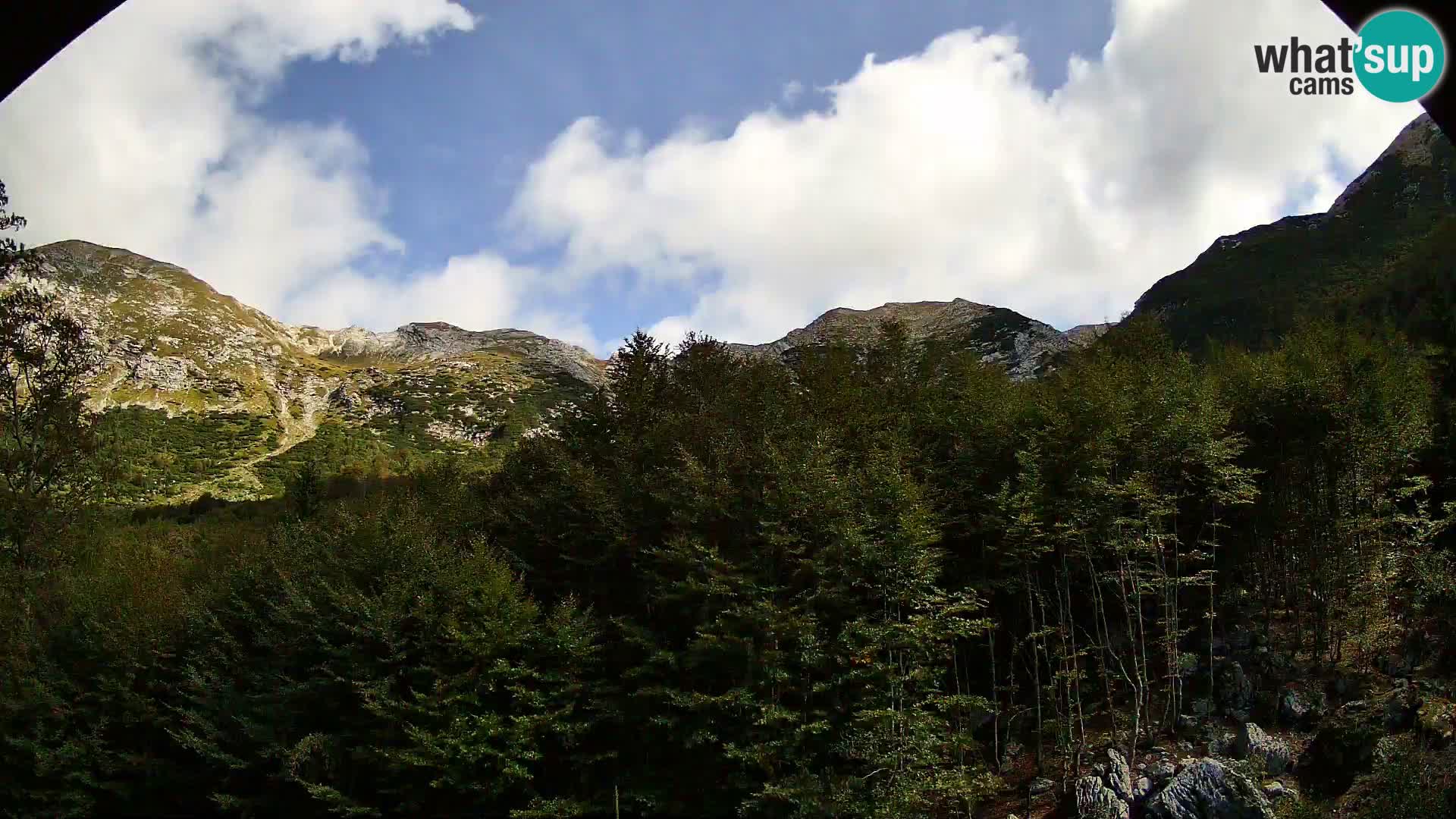 Cámara web PLANINA RAZOR (1315) | vista a Vogel y Globoko