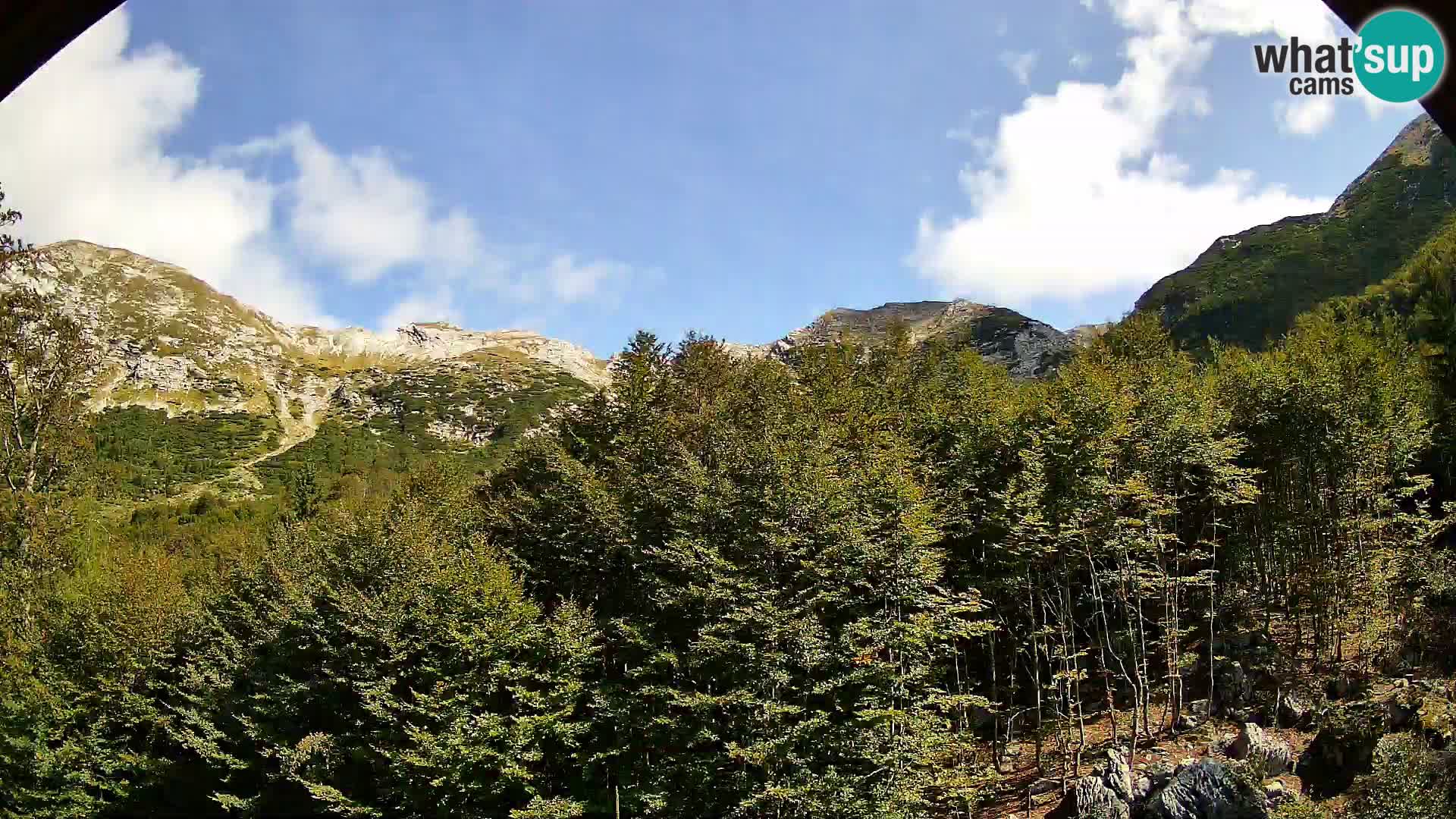 Cámara web PLANINA RAZOR (1315) | vista a Vogel y Globoko