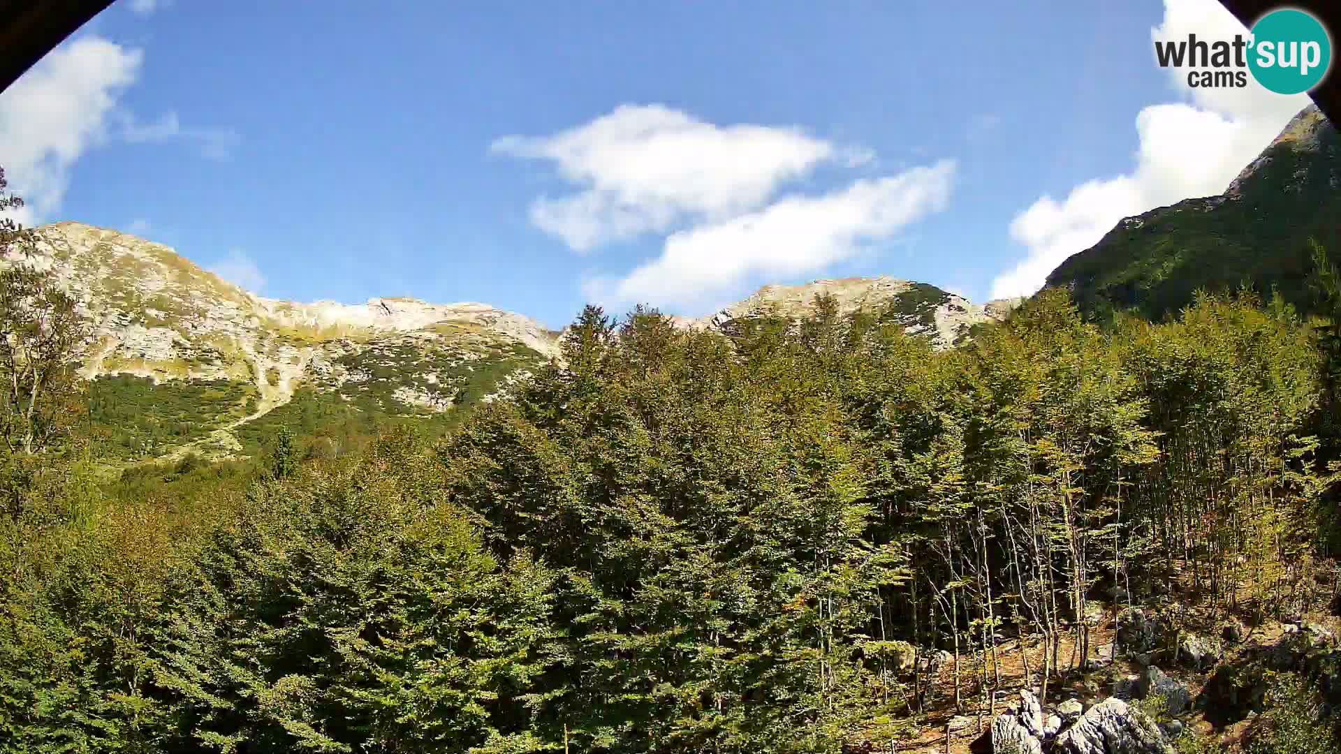 Livecam PLANINA RAZOR (1315) | vue sur Vogel et Globoko