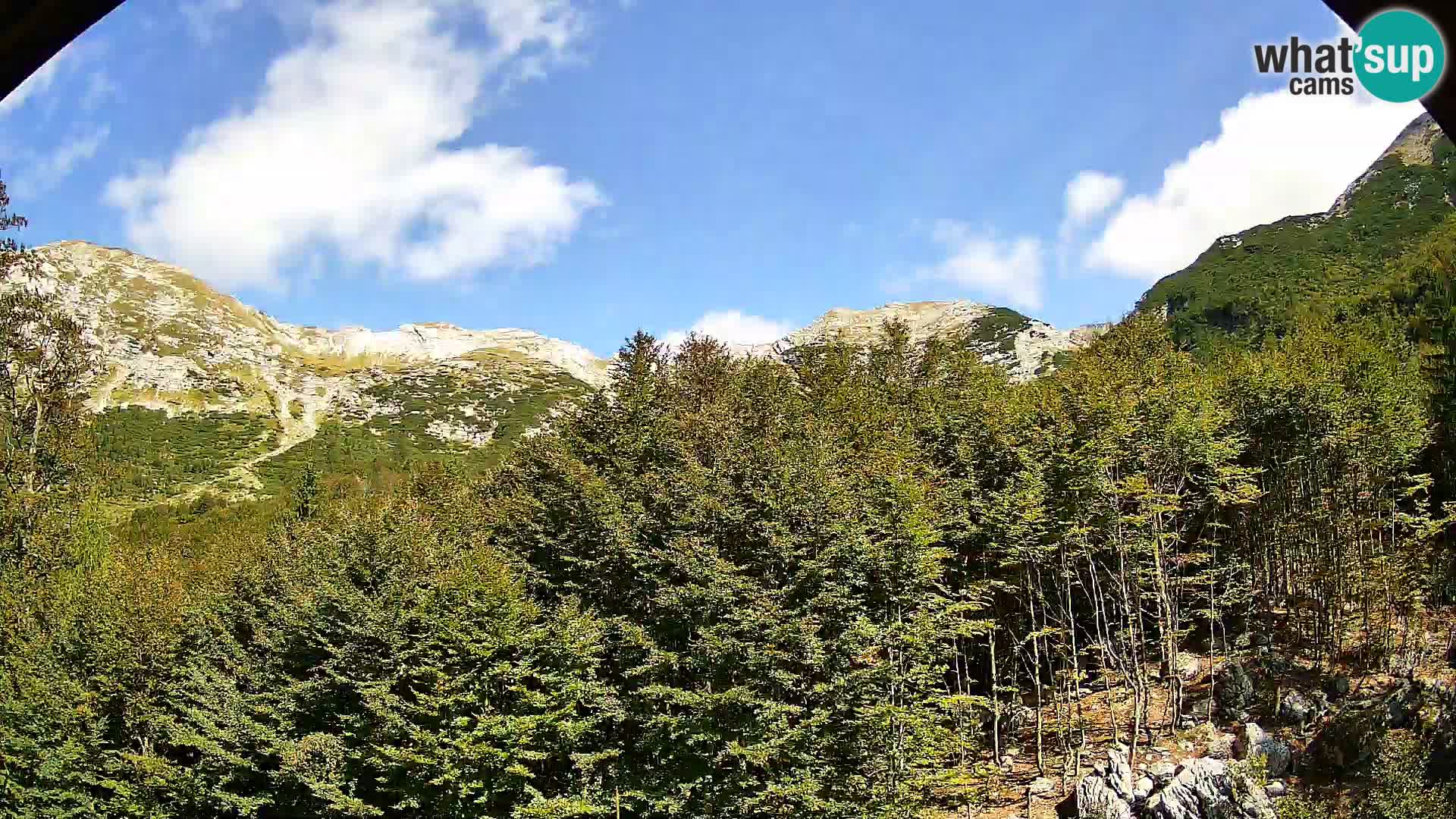 Livecam PLANINA RAZOR (1315) | vue sur Vogel et Globoko