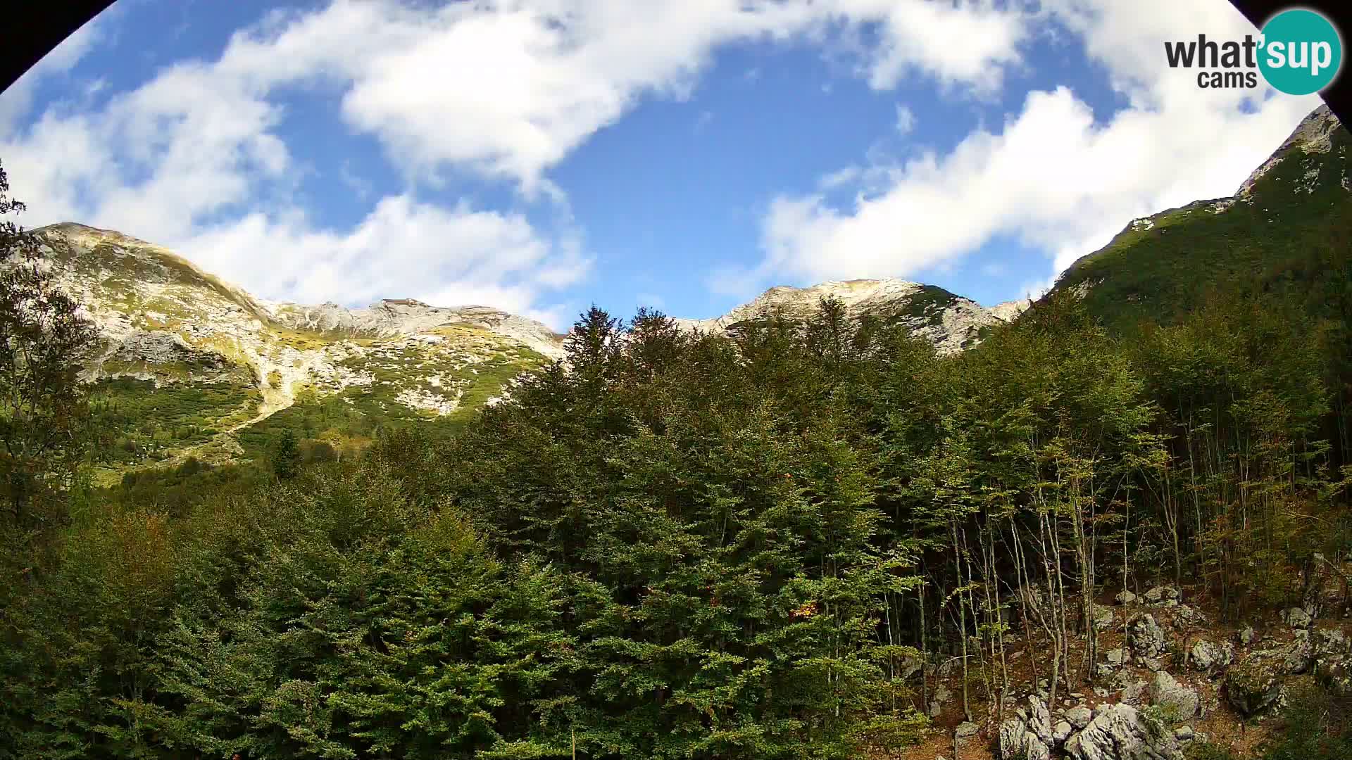 PLANINA RAZOR kamera (1315) | pogled na Vogel in Globoko