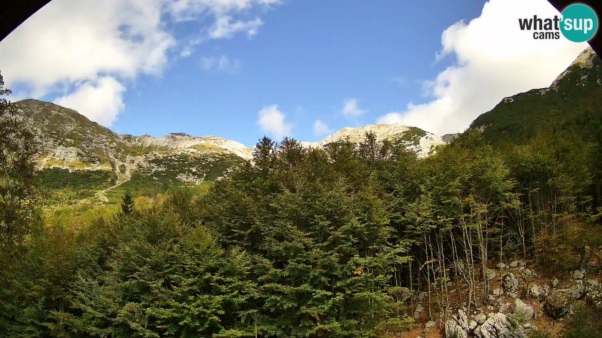Livecam PLANINA RAZOR (1315) | vue sur Vogel et Globoko