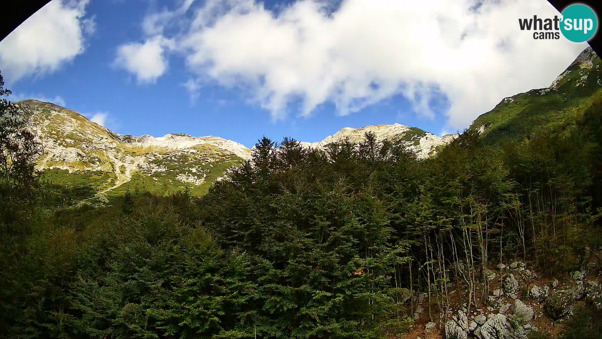 PLANINA RAZOR web kamera (1315) | pogled na Vogel i Globoko