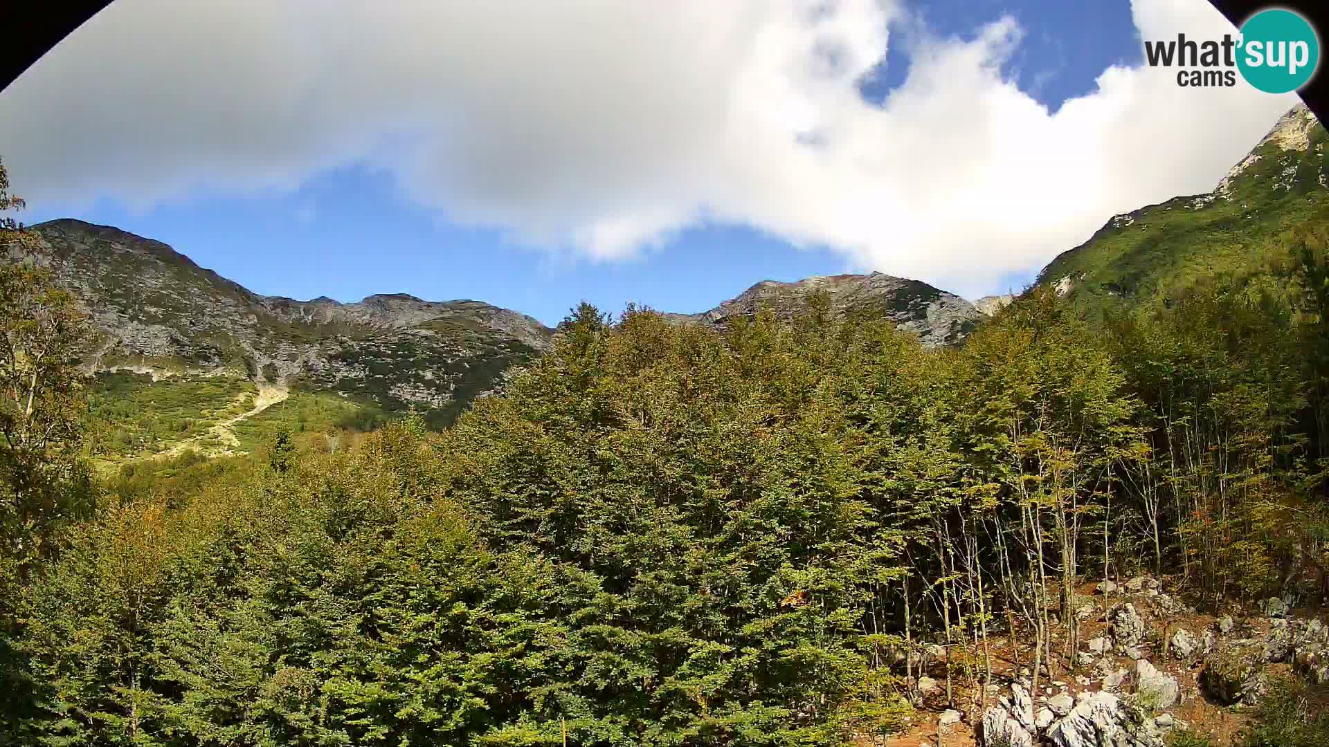 PLANINA RAZOR Live Cam (1315) | vista su Vogel e Globoko