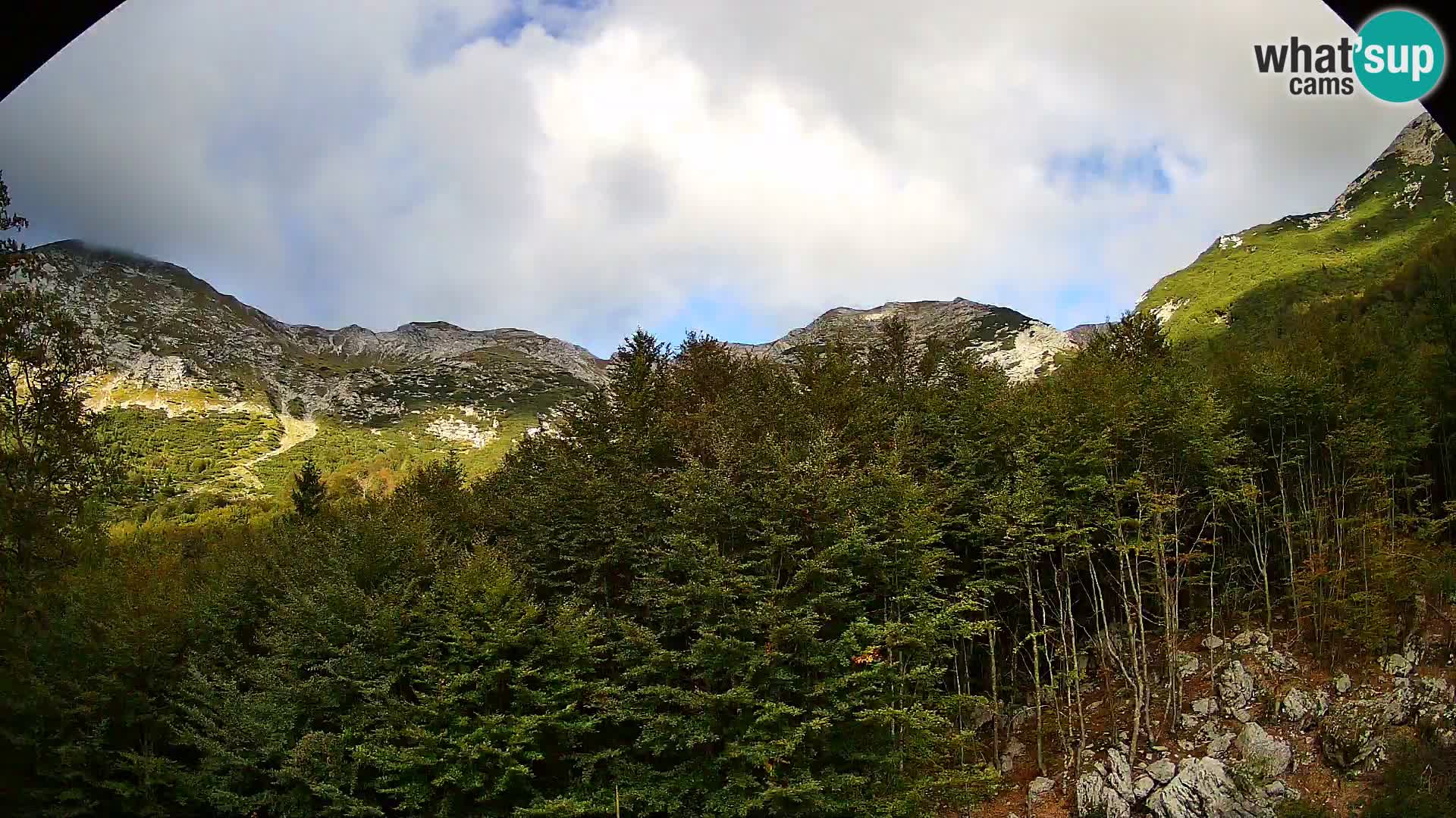 PLANINA RAZOR kamera (1315) | pogled na Vogel in Globoko