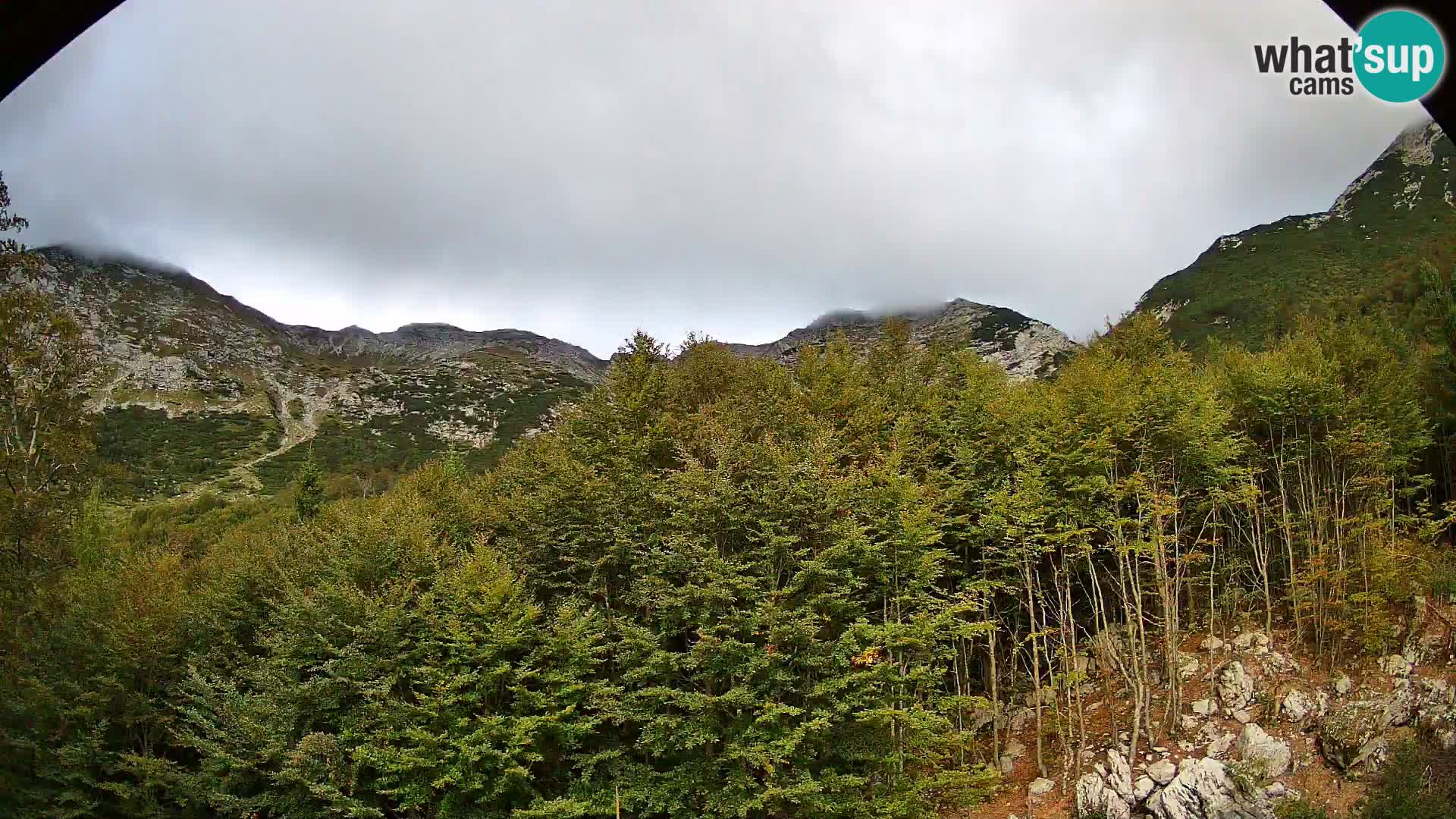 PLANINA RAZOR kamera (1315) | pogled na Vogel in Globoko