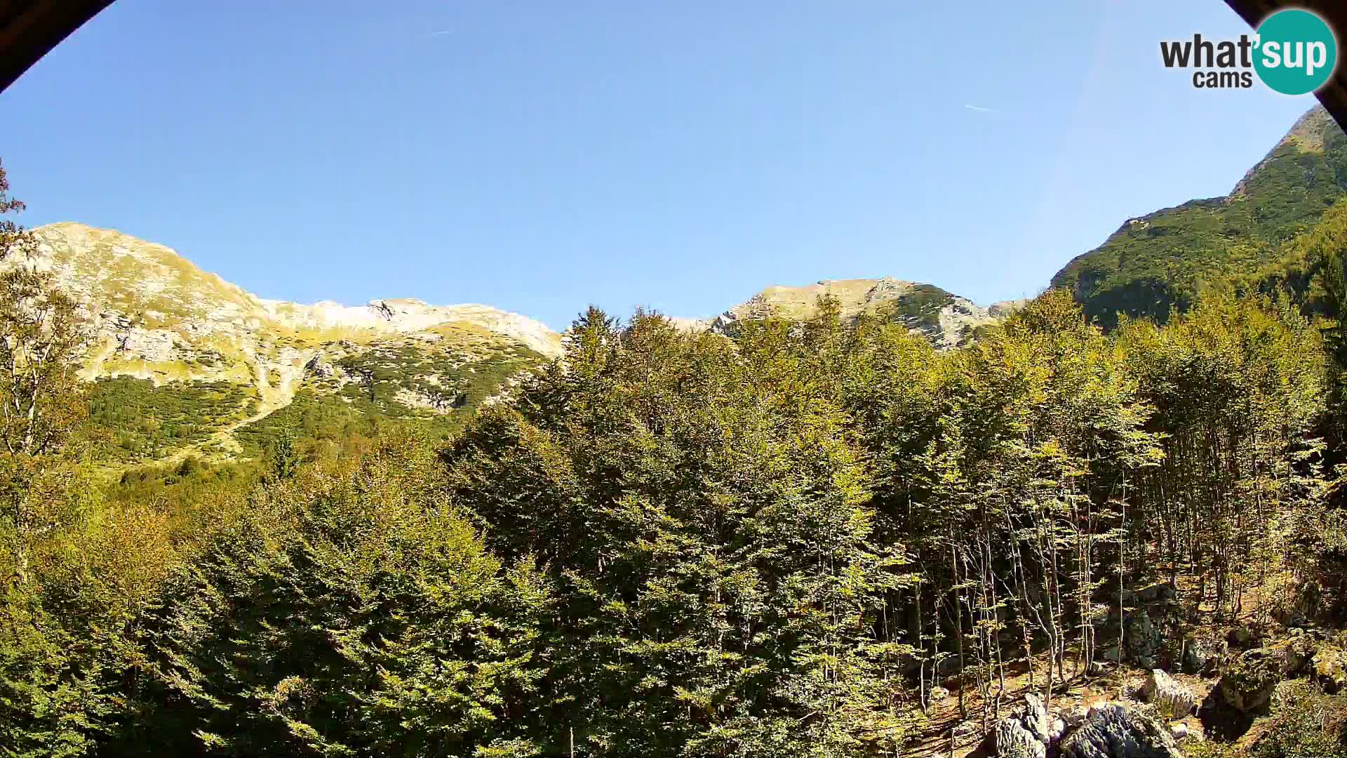 PLANINA RAZOR Live Cam (1315) | vista su Vogel e Globoko