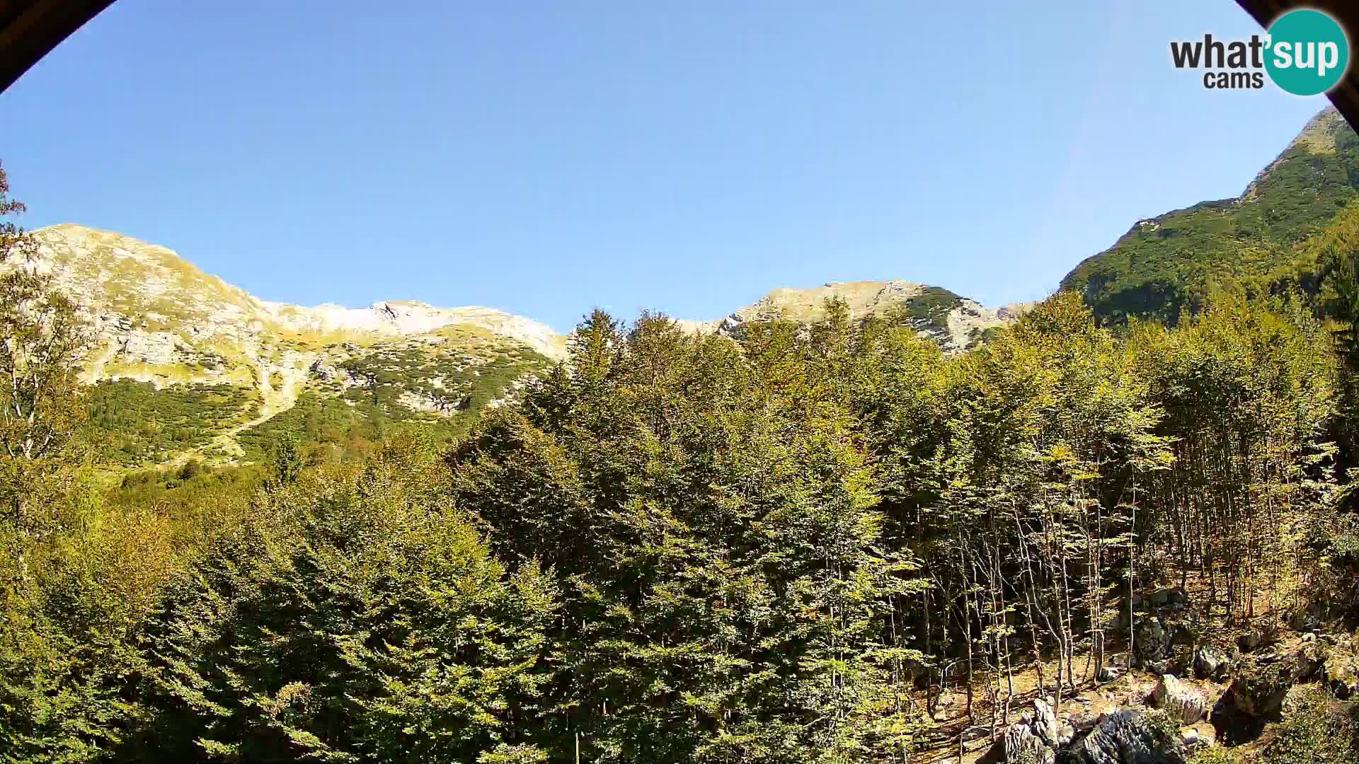 Webcam PLANINA RAZOR (1315) | Blick auf Vogel und Globoko