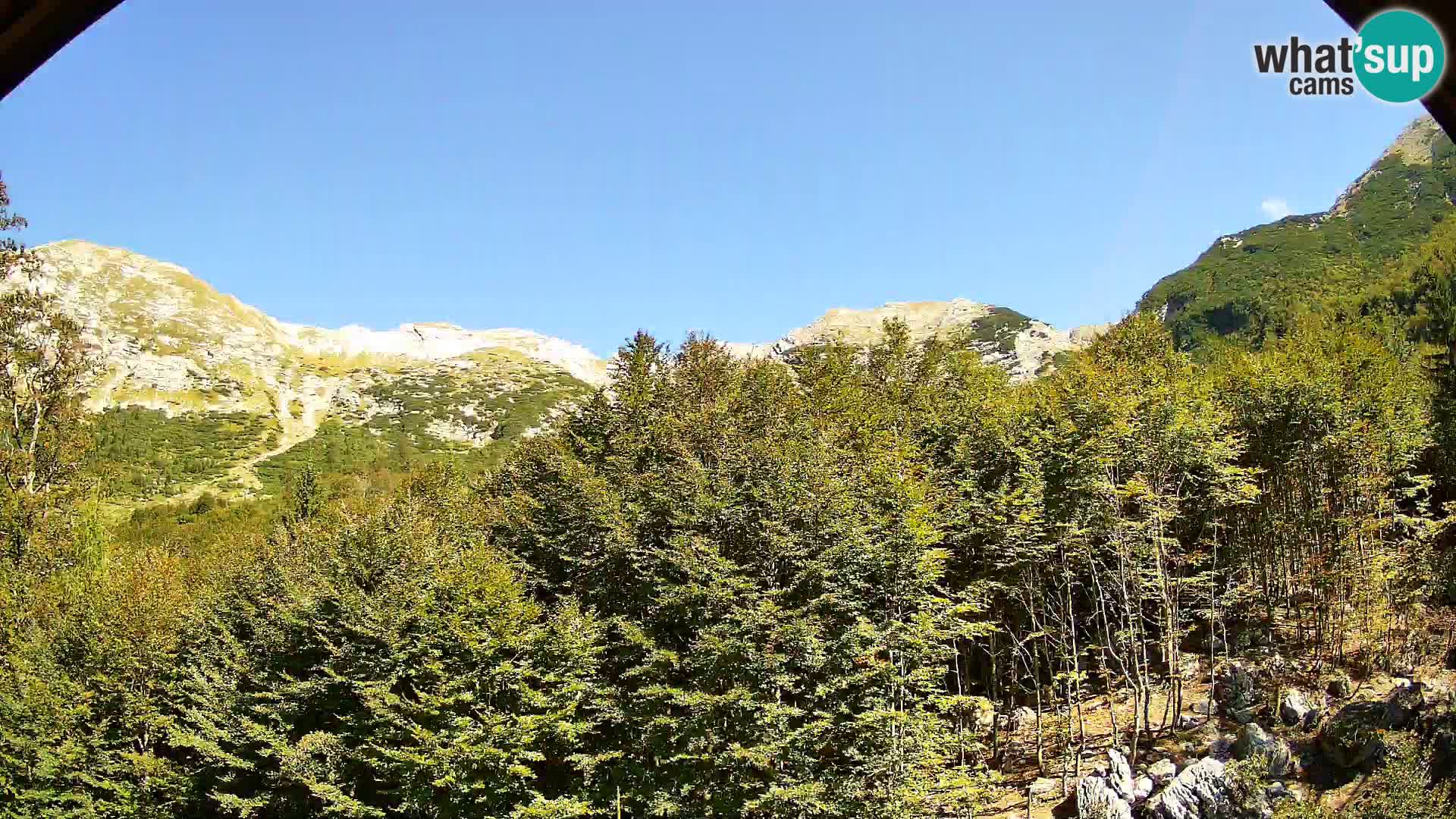 Livecam PLANINA RAZOR (1315) | vue sur Vogel et Globoko