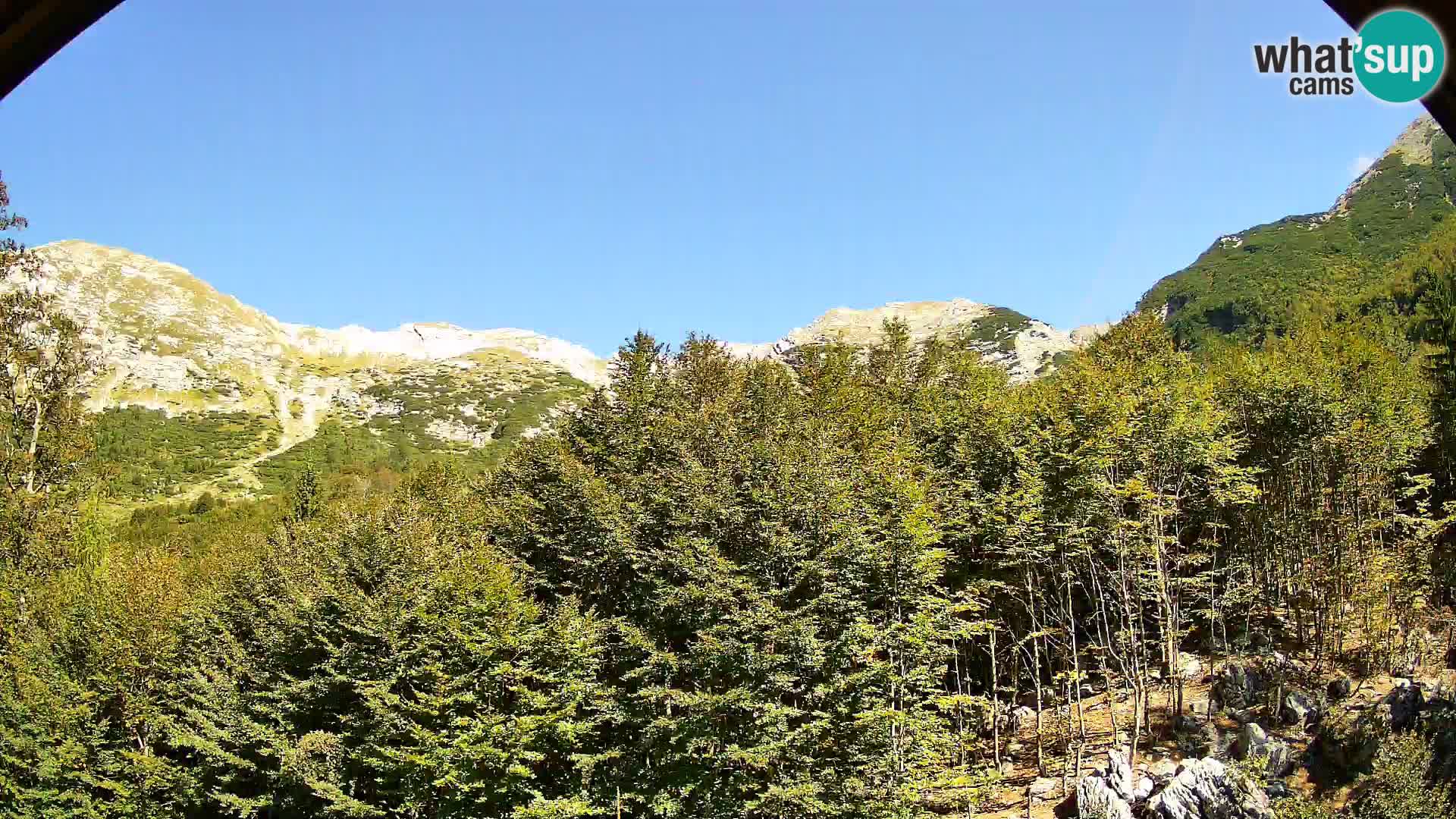 Webcam PLANINA RAZOR (1315) | Blick auf Vogel und Globoko
