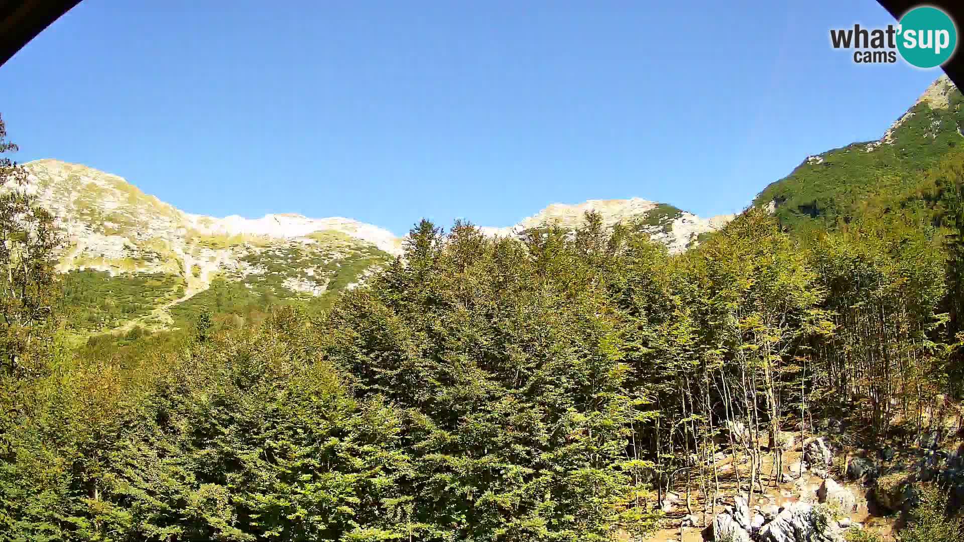 Webcam PLANINA RAZOR (1315) | Blick auf Vogel und Globoko