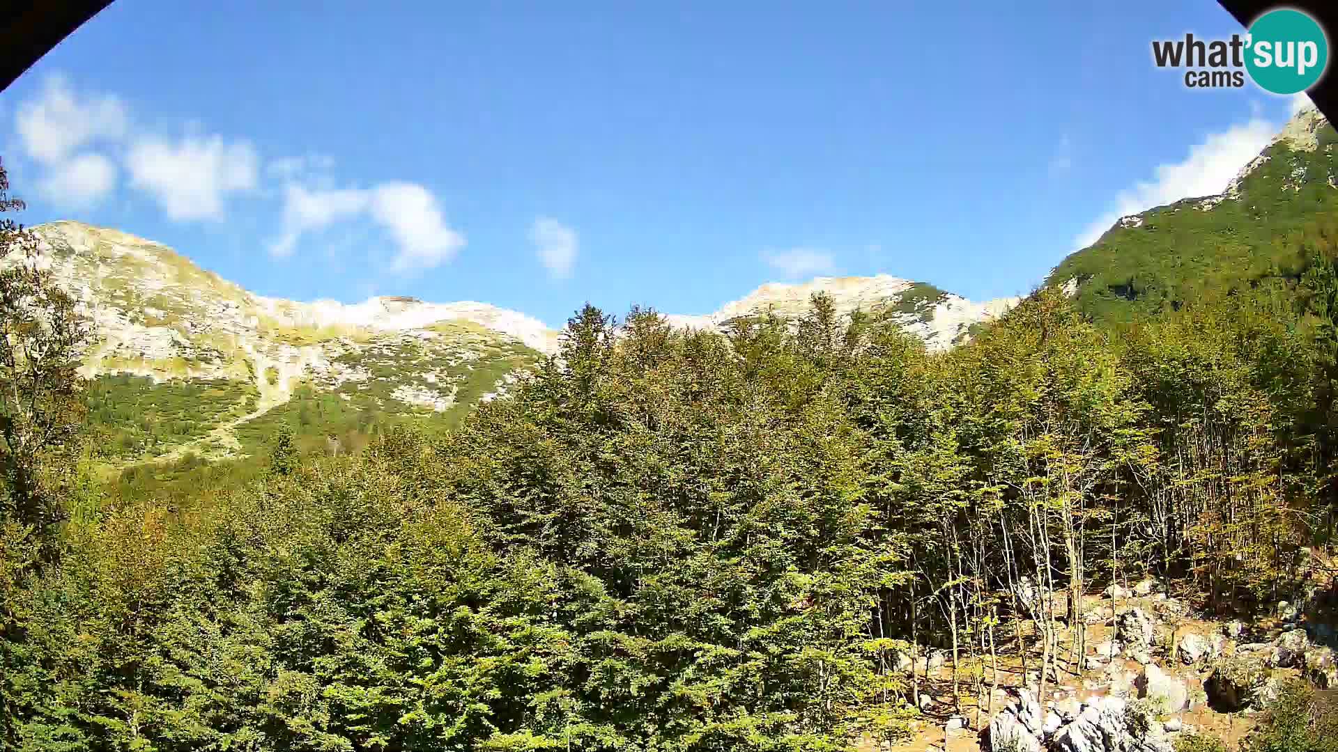 Livecam PLANINA RAZOR (1315) | vue sur Vogel et Globoko