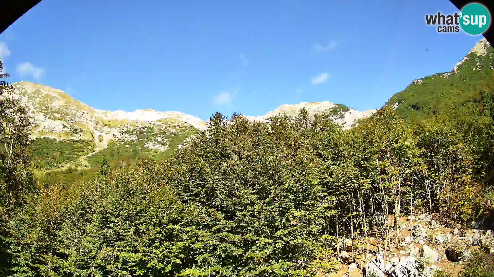 Cámara web PLANINA RAZOR (1315) | vista a Vogel y Globoko