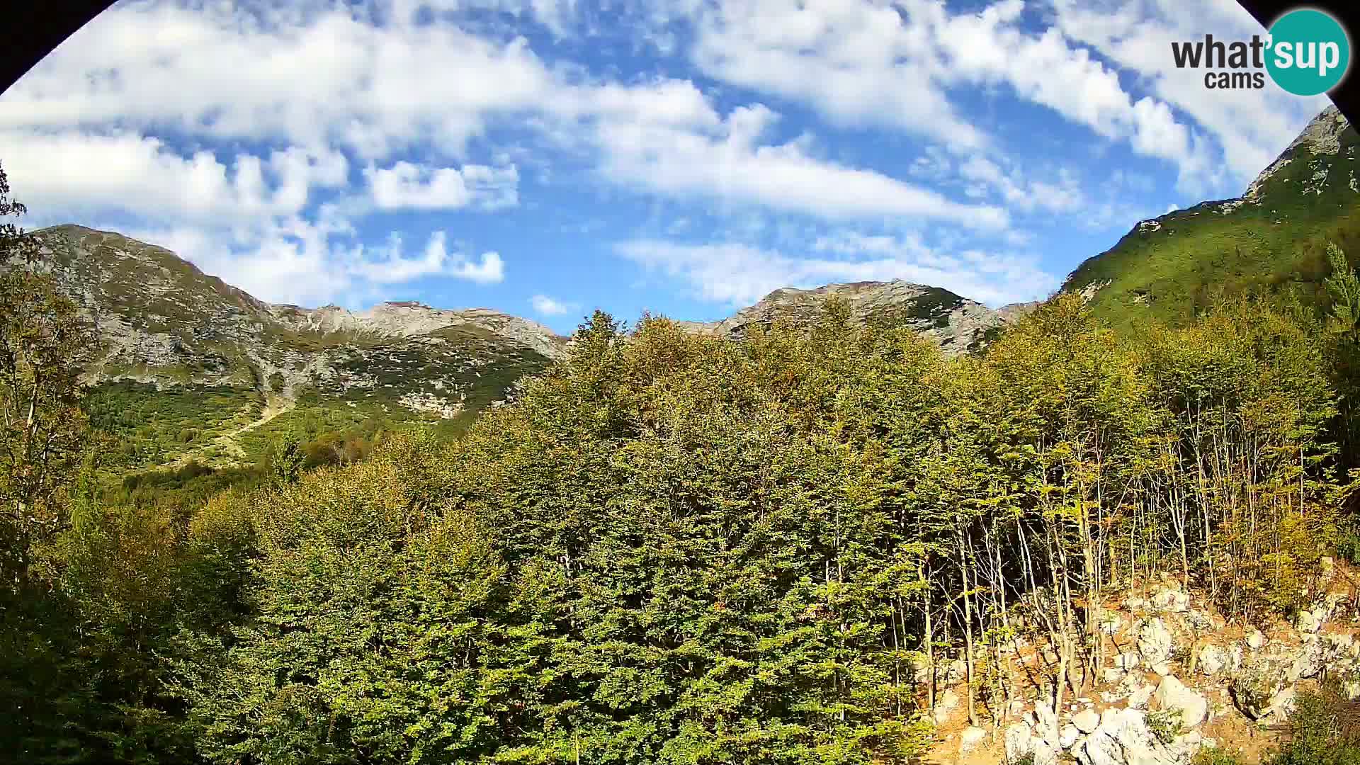 PLANINA RAZOR web kamera (1315) | pogled na Vogel i Globoko