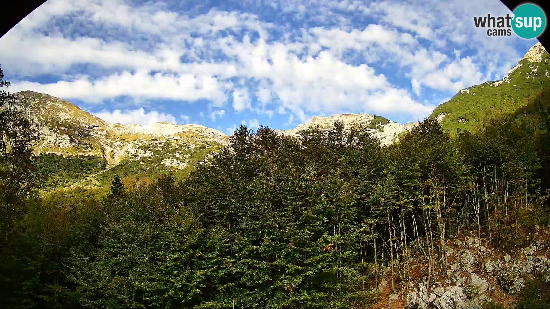 Cámara web PLANINA RAZOR (1315) | vista a Vogel y Globoko