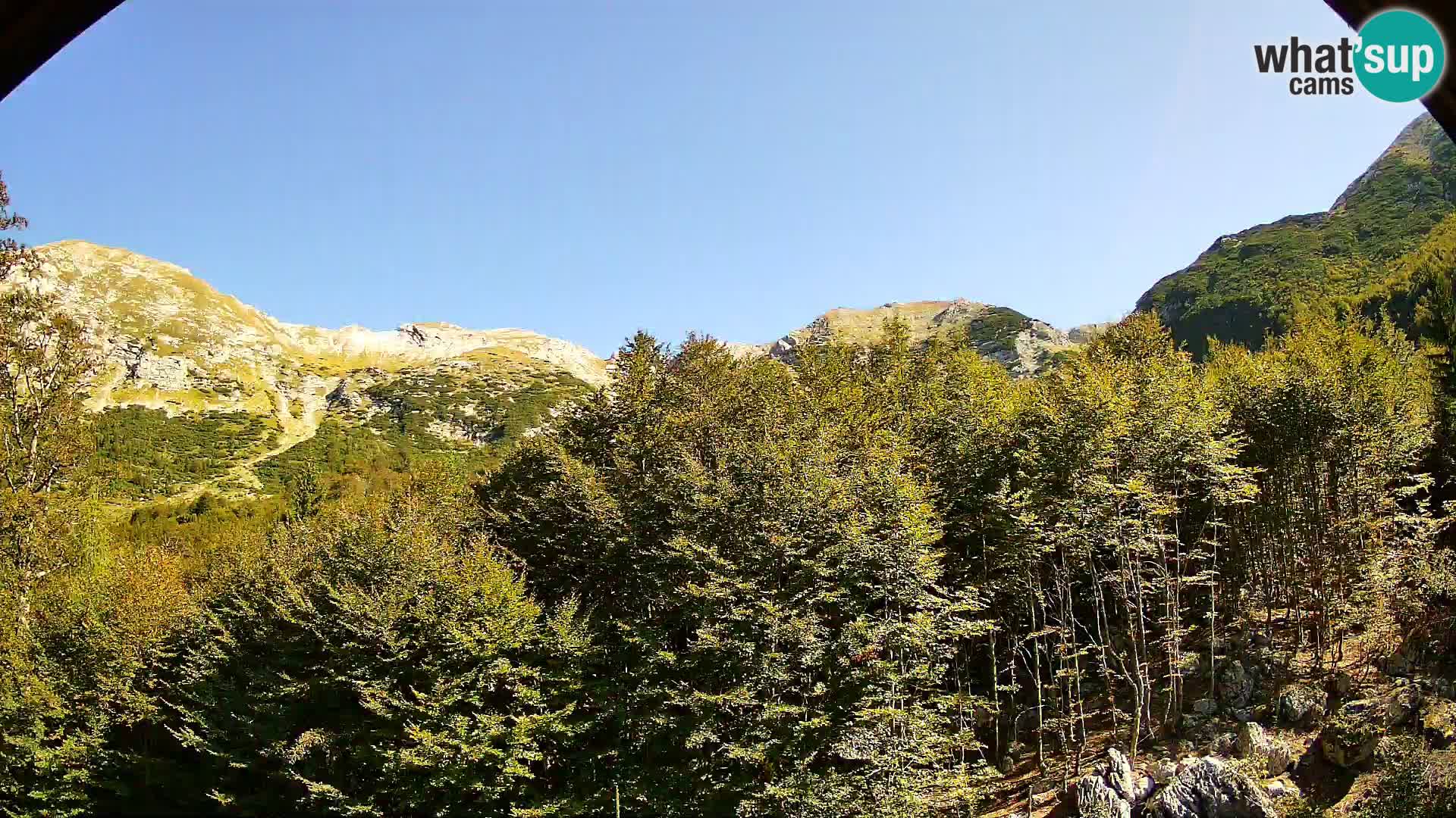 Webcam PLANINA RAZOR (1315) | Blick auf Vogel und Globoko