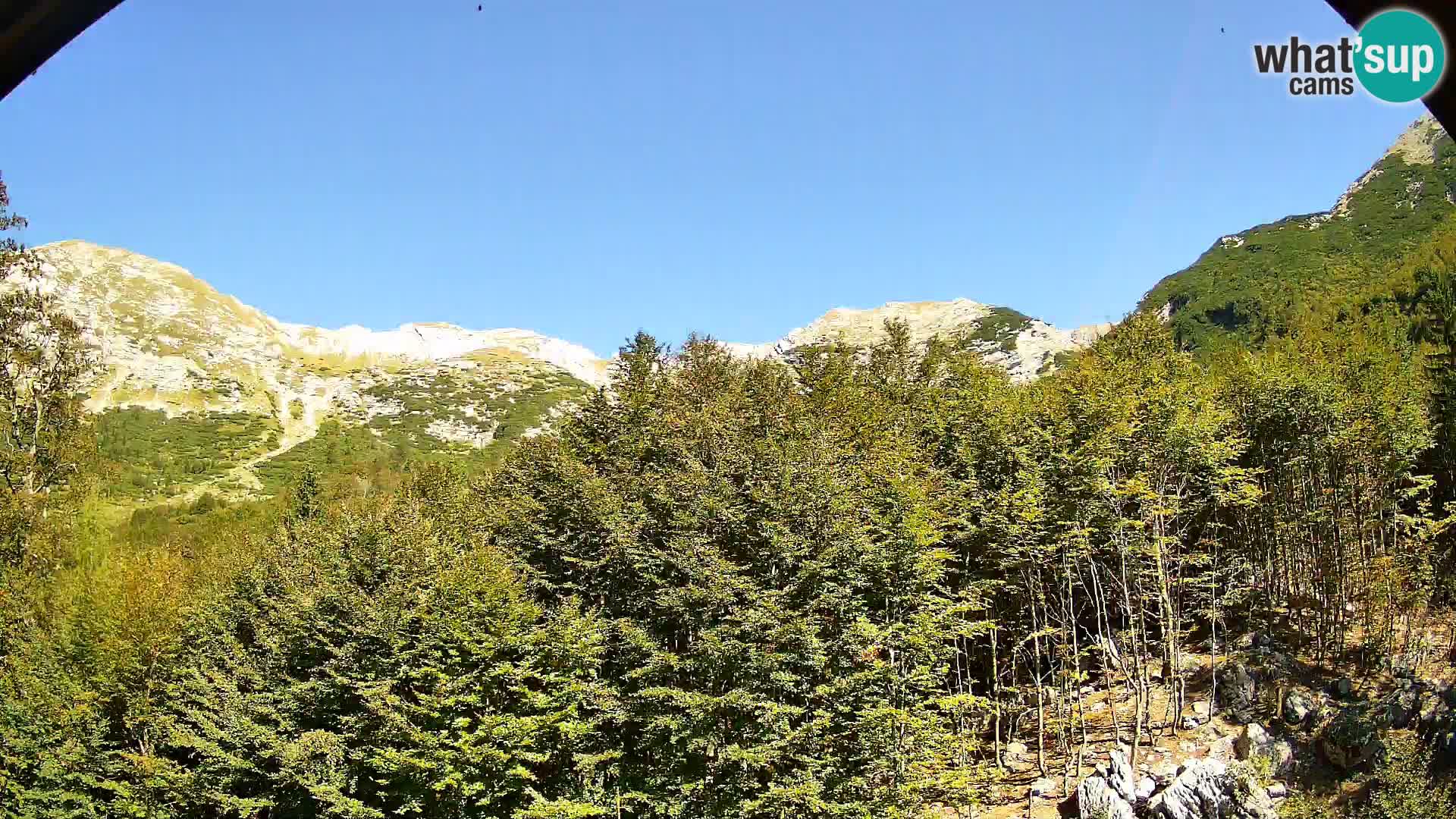 Webcam PLANINA RAZOR (1315) | Blick auf Vogel und Globoko
