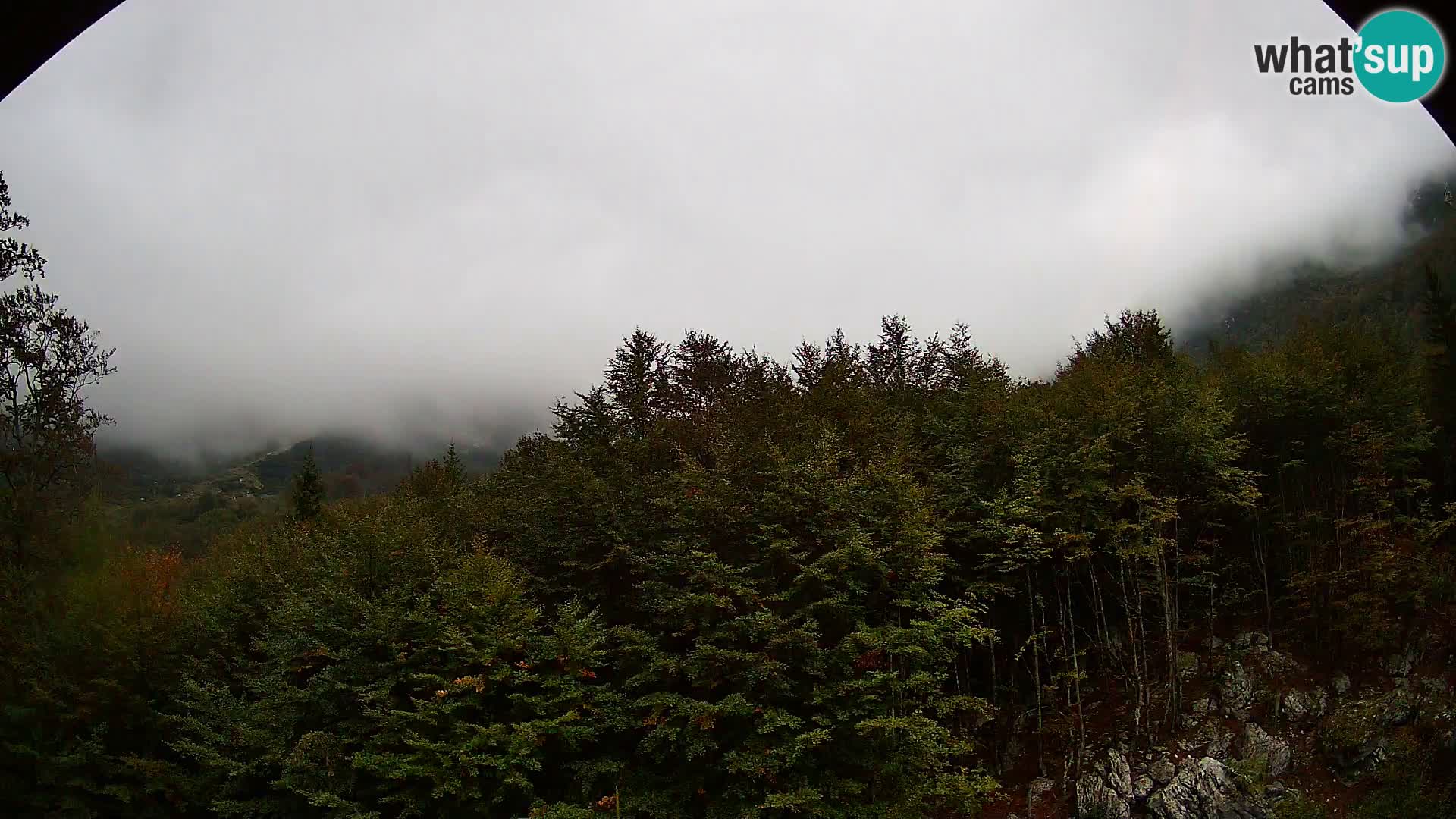 PLANINA RAZOR Live Cam (1315) | vista su Vogel e Globoko