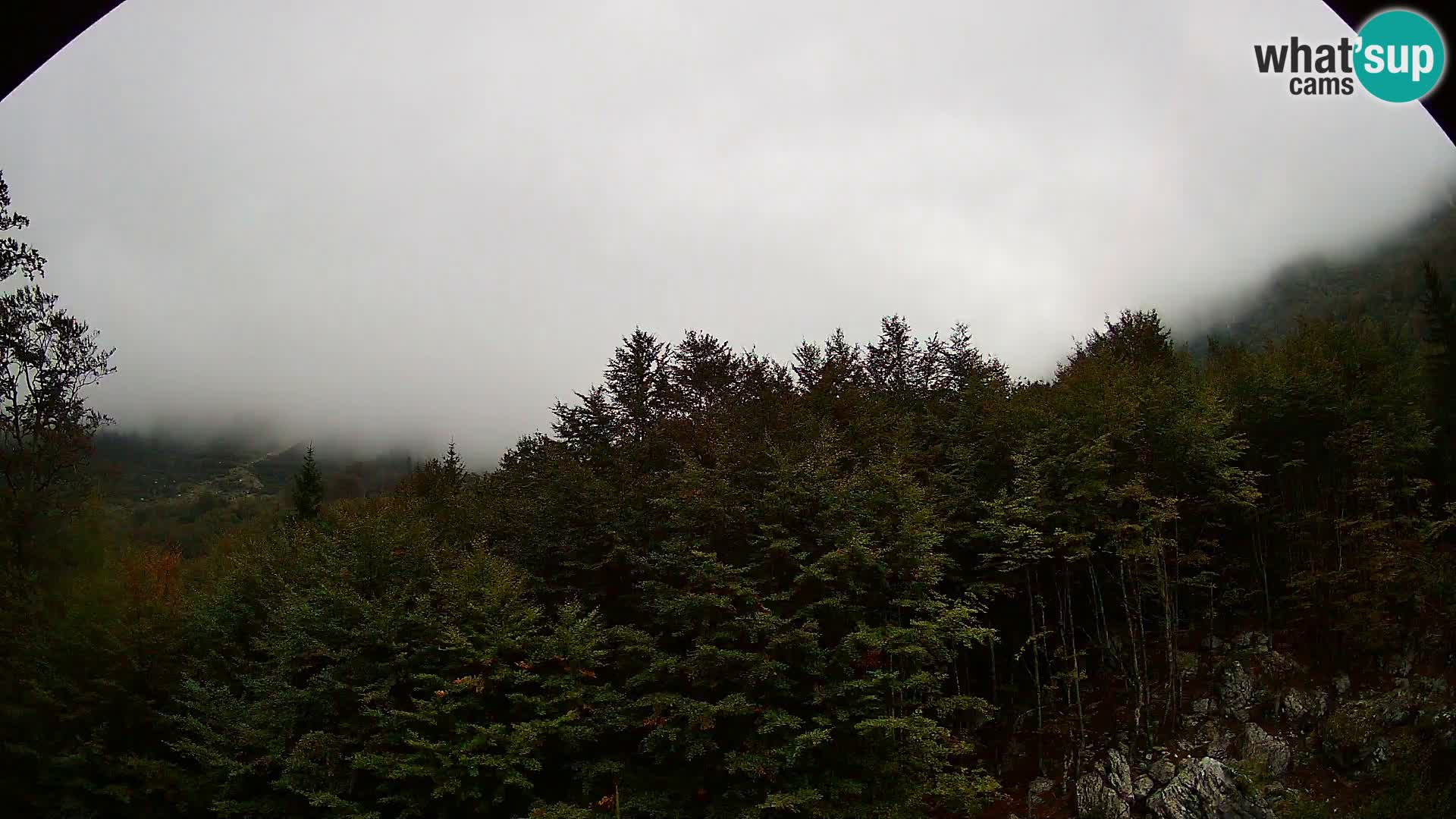 PLANINA RAZOR kamera (1315) | pogled na Vogel in Globoko