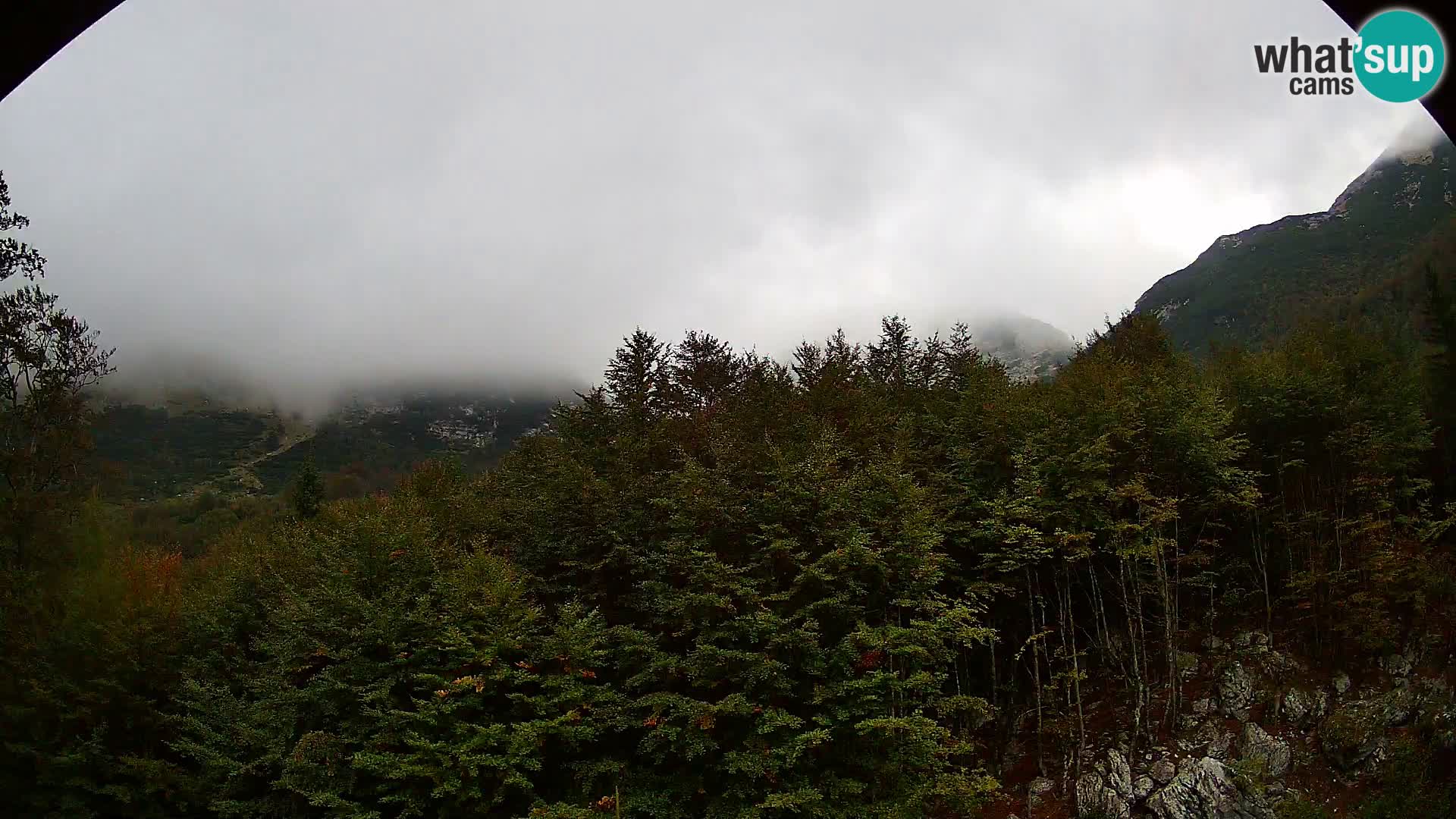 Webcam PLANINA RAZOR (1315) | Blick auf Vogel und Globoko