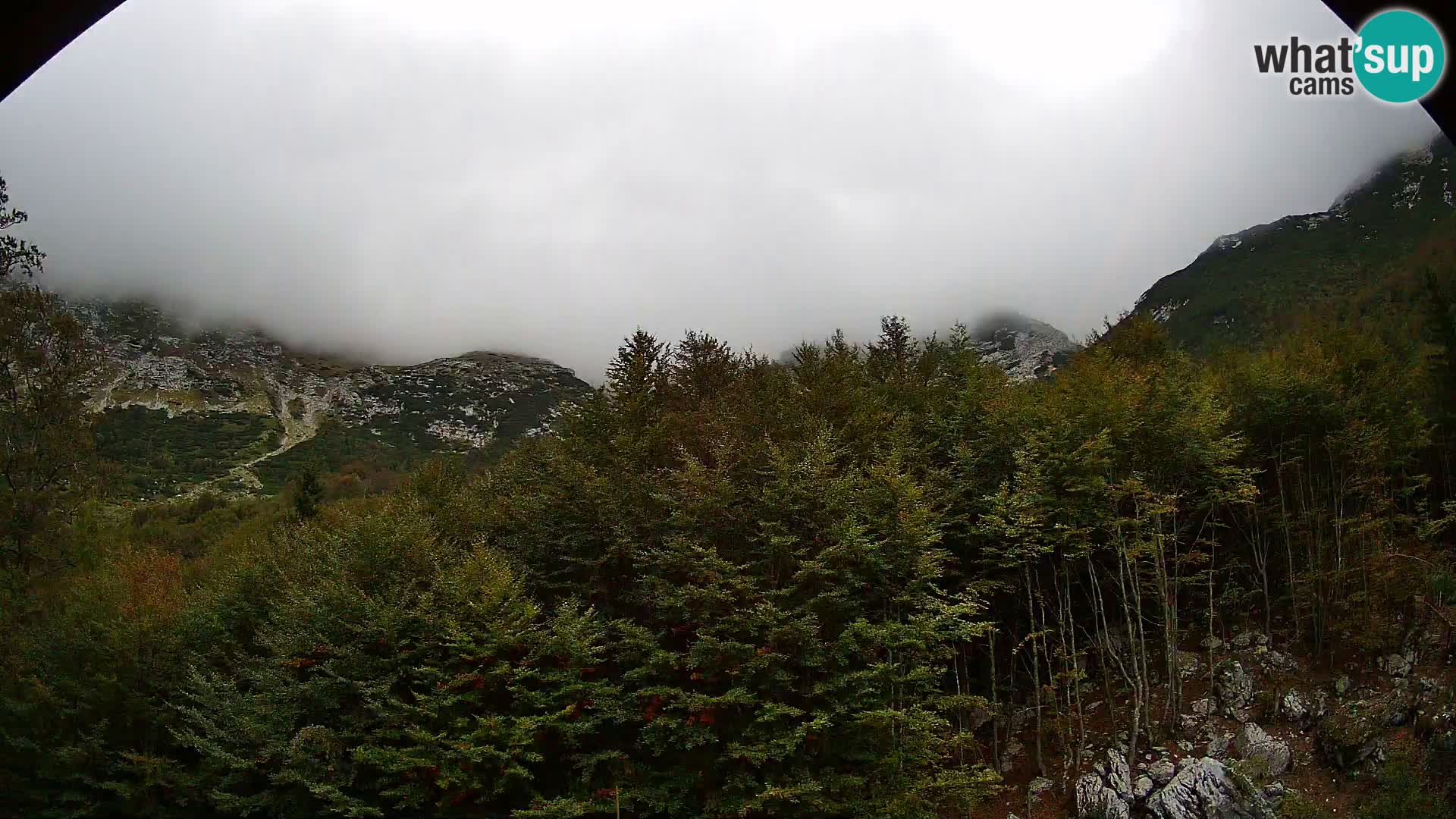 PLANINA RAZOR webcam (1315) | view to Vogel and Globoko