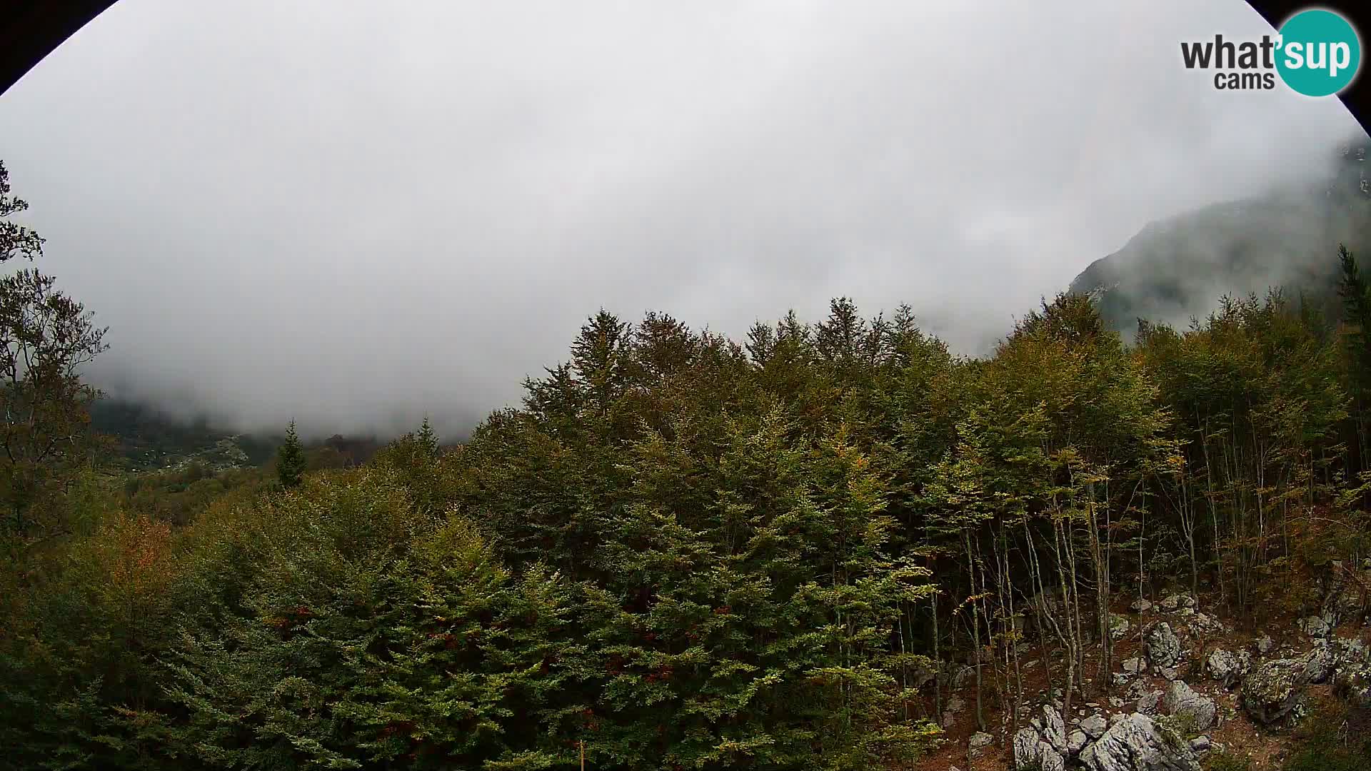 PLANINA RAZOR webcam (1315) | view to Vogel and Globoko