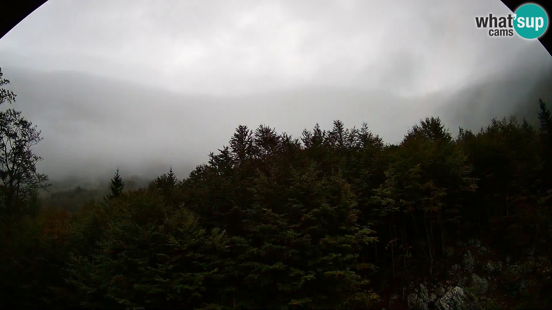 Webcam PLANINA RAZOR (1315) | Blick auf Vogel und Globoko