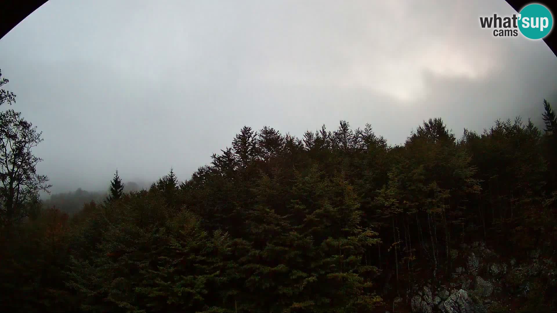 Webcam PLANINA RAZOR (1315) | Blick auf Vogel und Globoko