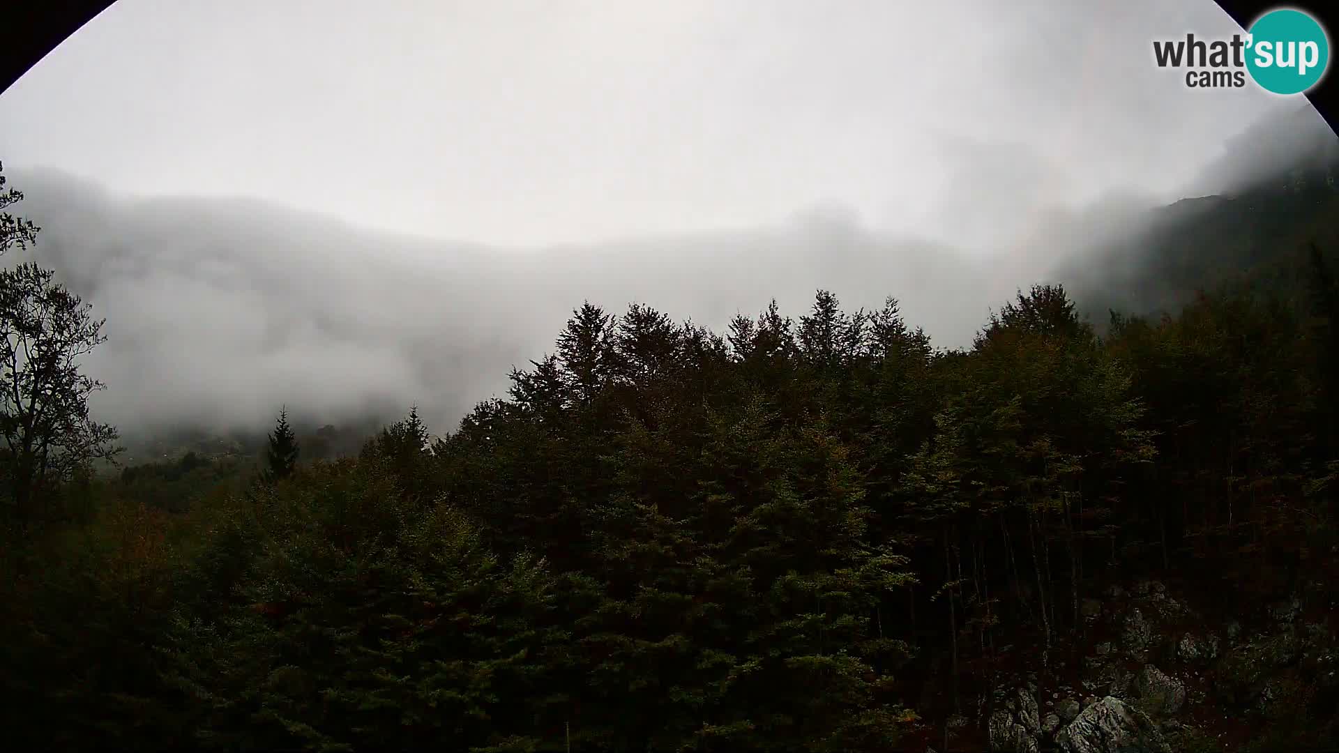 Livecam PLANINA RAZOR (1315) | vue sur Vogel et Globoko