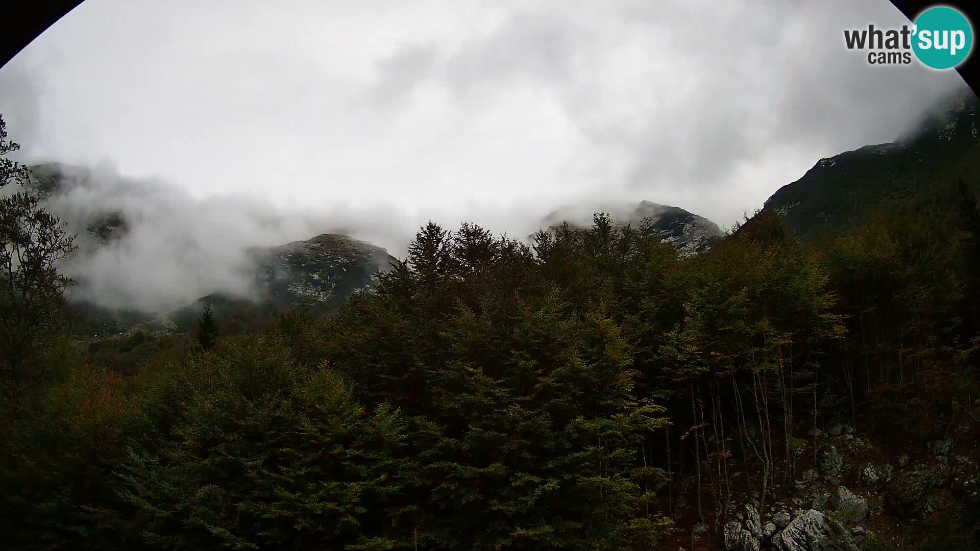 Livecam PLANINA RAZOR (1315) | vue sur Vogel et Globoko