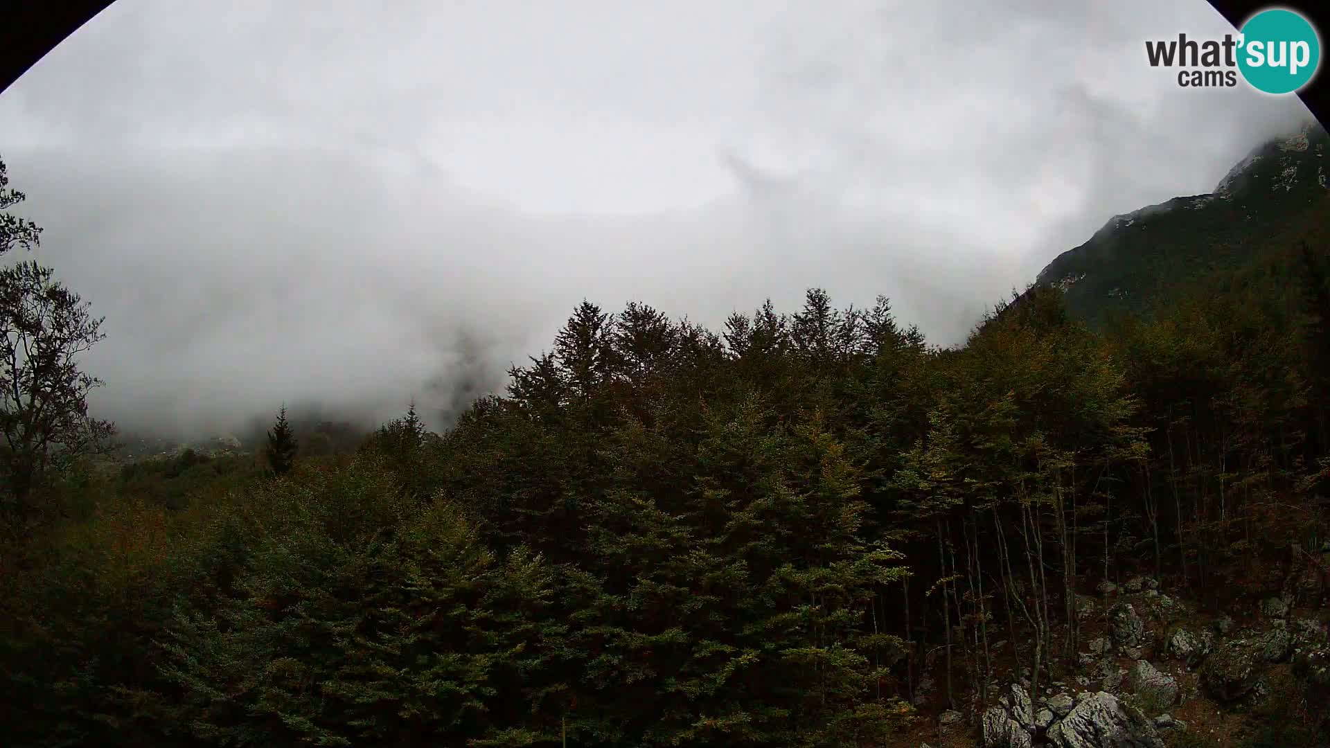 PLANINA RAZOR webcam (1315) | view to Vogel and Globoko