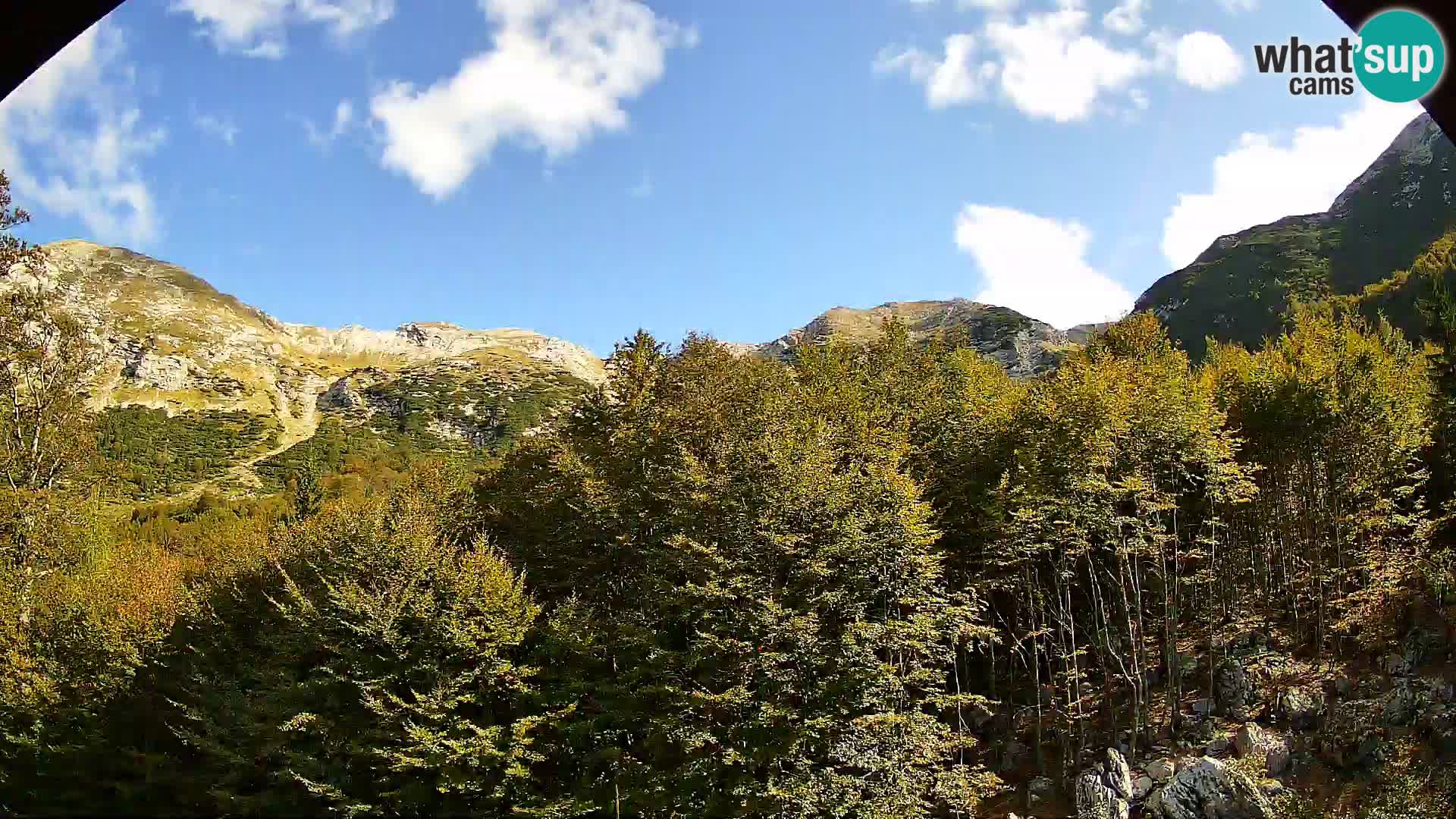 PLANINA RAZOR kamera (1315) | pogled na Vogel in Globoko