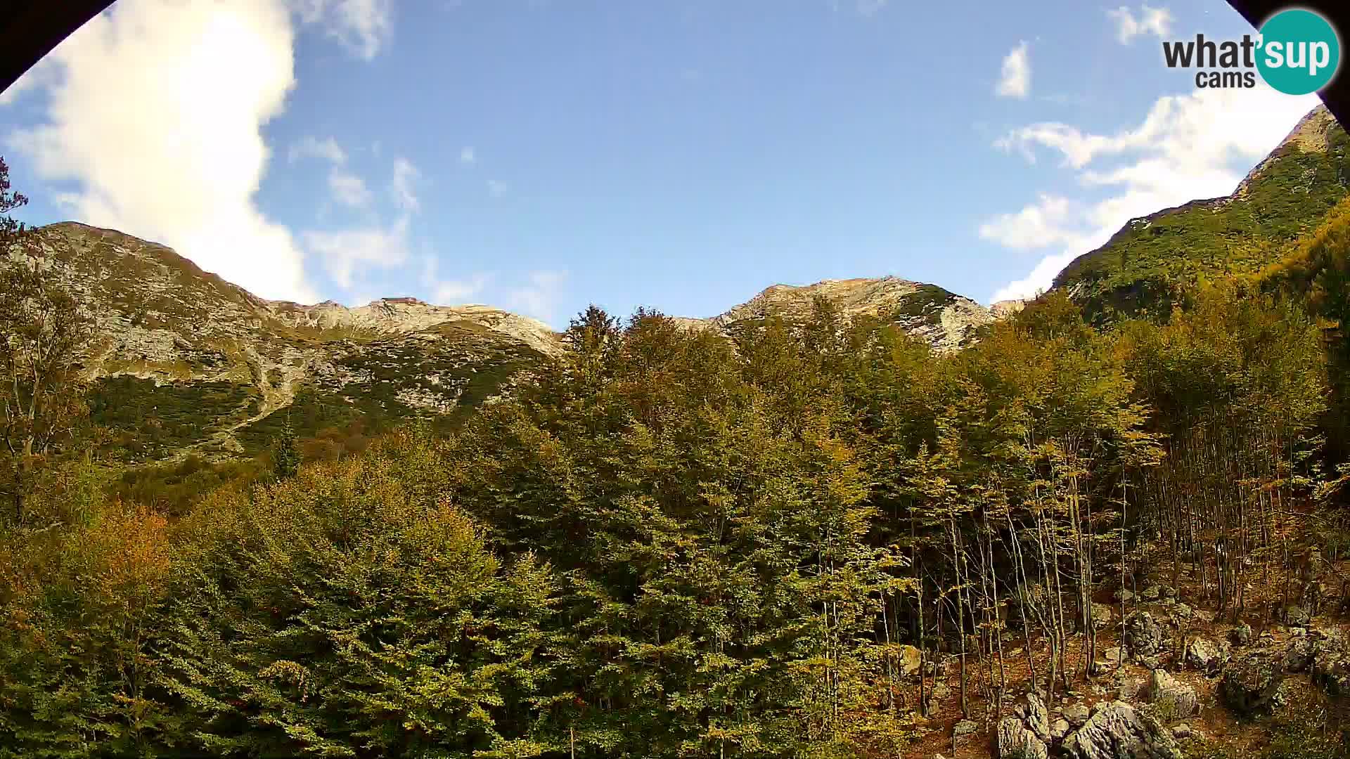 PLANINA RAZOR kamera (1315) | pogled na Vogel in Globoko