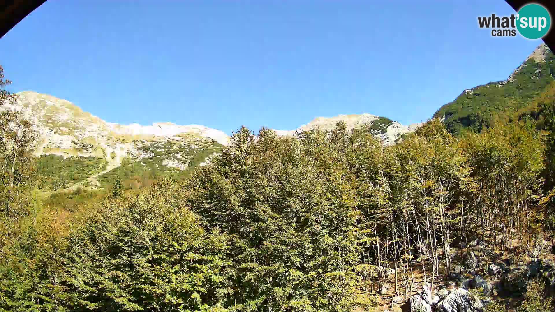 PLANINA RAZOR web kamera (1315) | pogled na Vogel i Globoko
