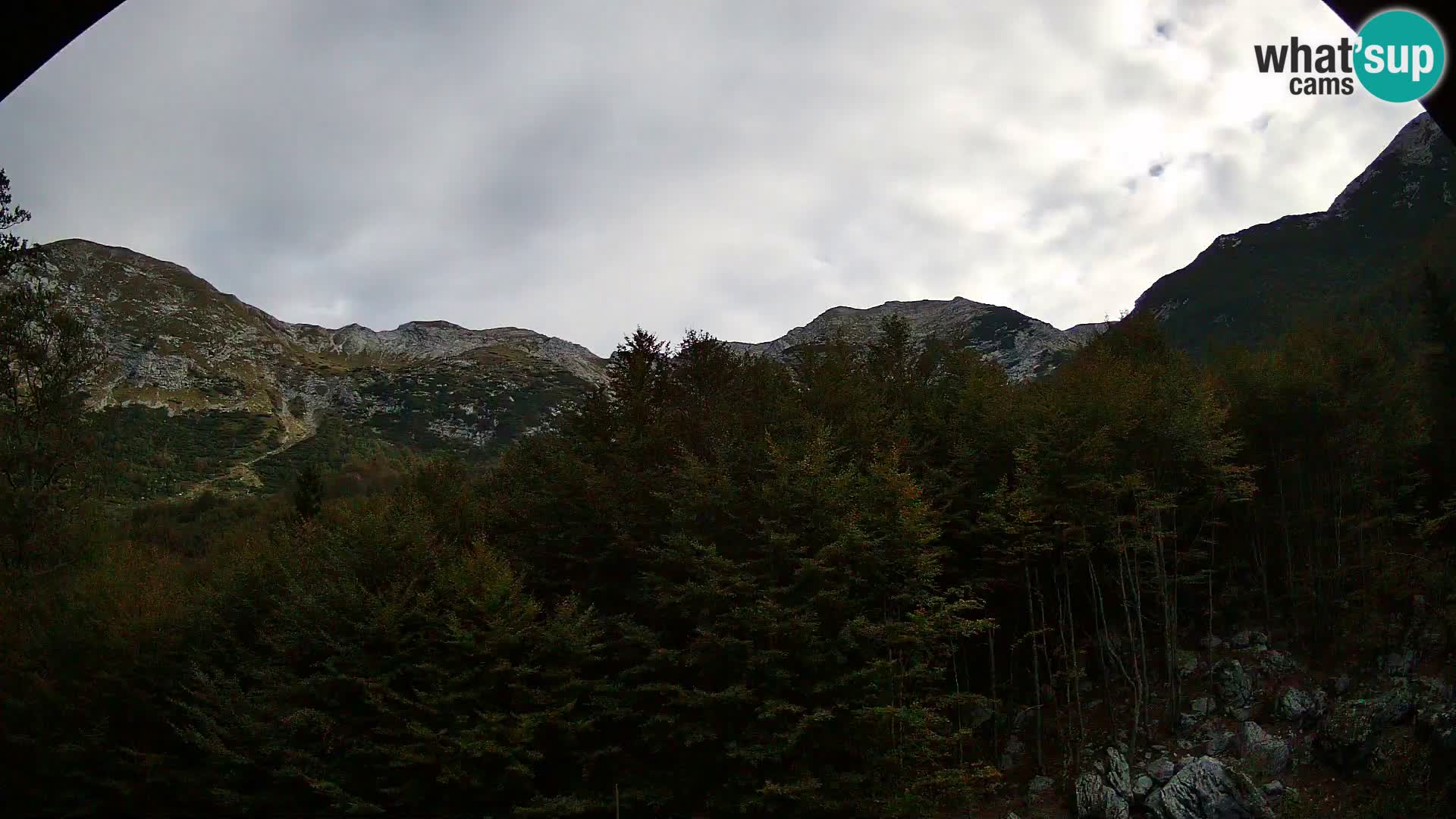 PLANINA RAZOR Live Cam (1315) | vista su Vogel e Globoko