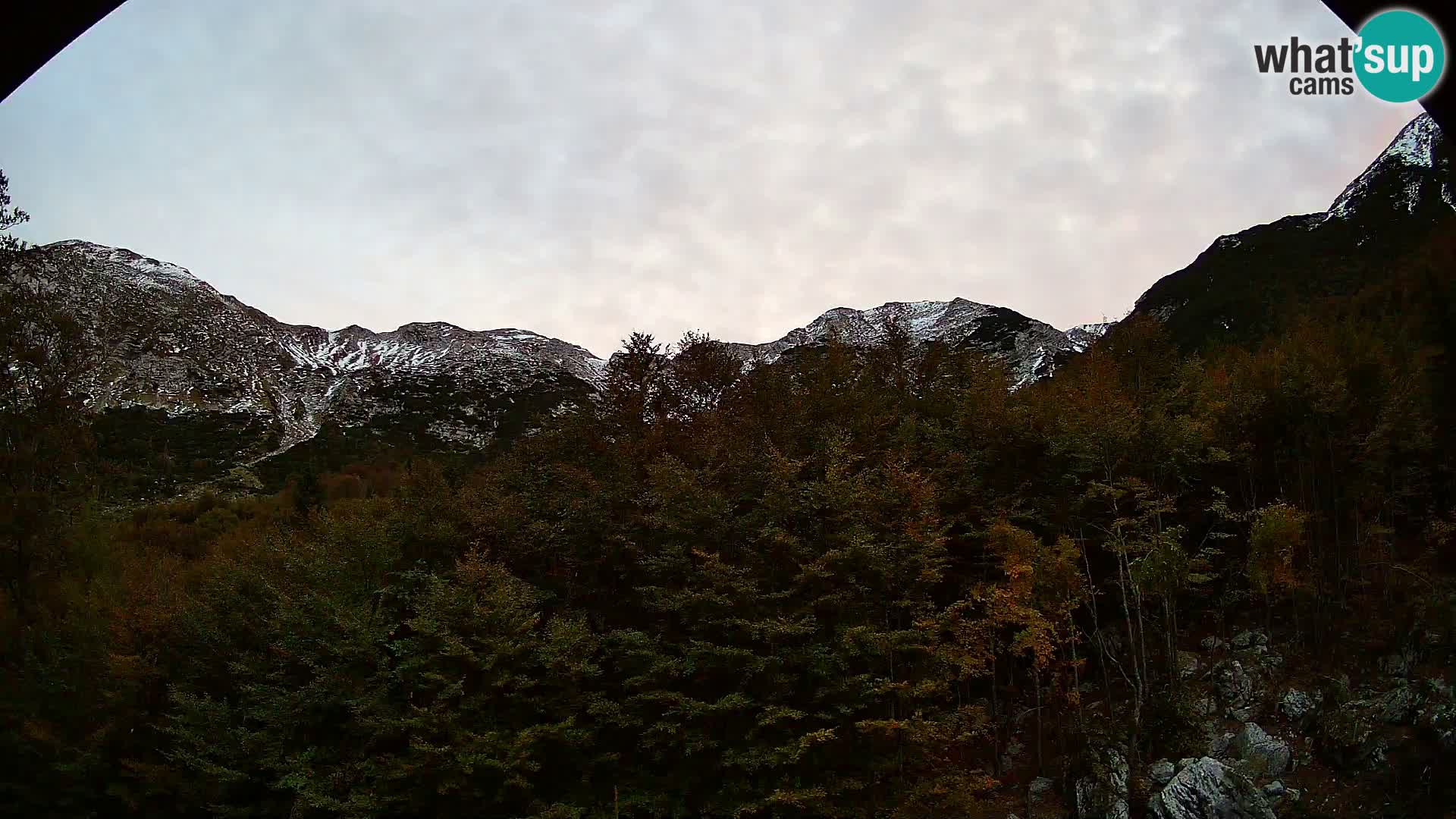 Webcam PLANINA RAZOR (1315) | Blick auf Vogel und Globoko