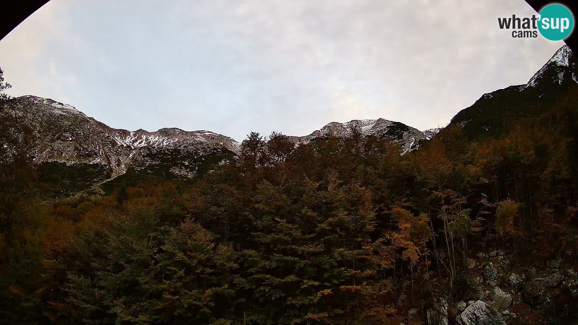 Webcam PLANINA RAZOR (1315) | Blick auf Vogel und Globoko