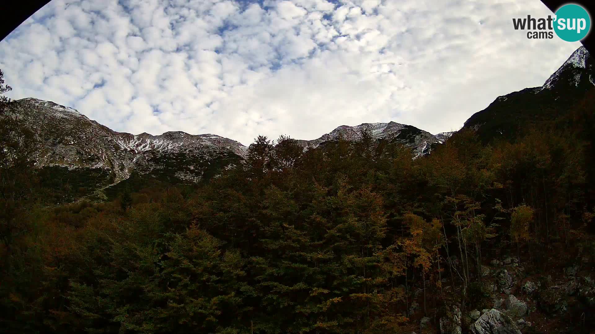 Livecam PLANINA RAZOR (1315) | vue sur Vogel et Globoko