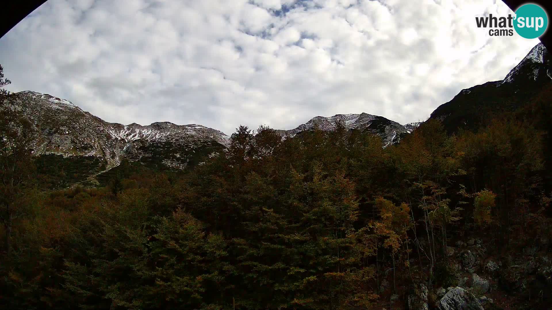 Webcam PLANINA RAZOR (1315) | Blick auf Vogel und Globoko