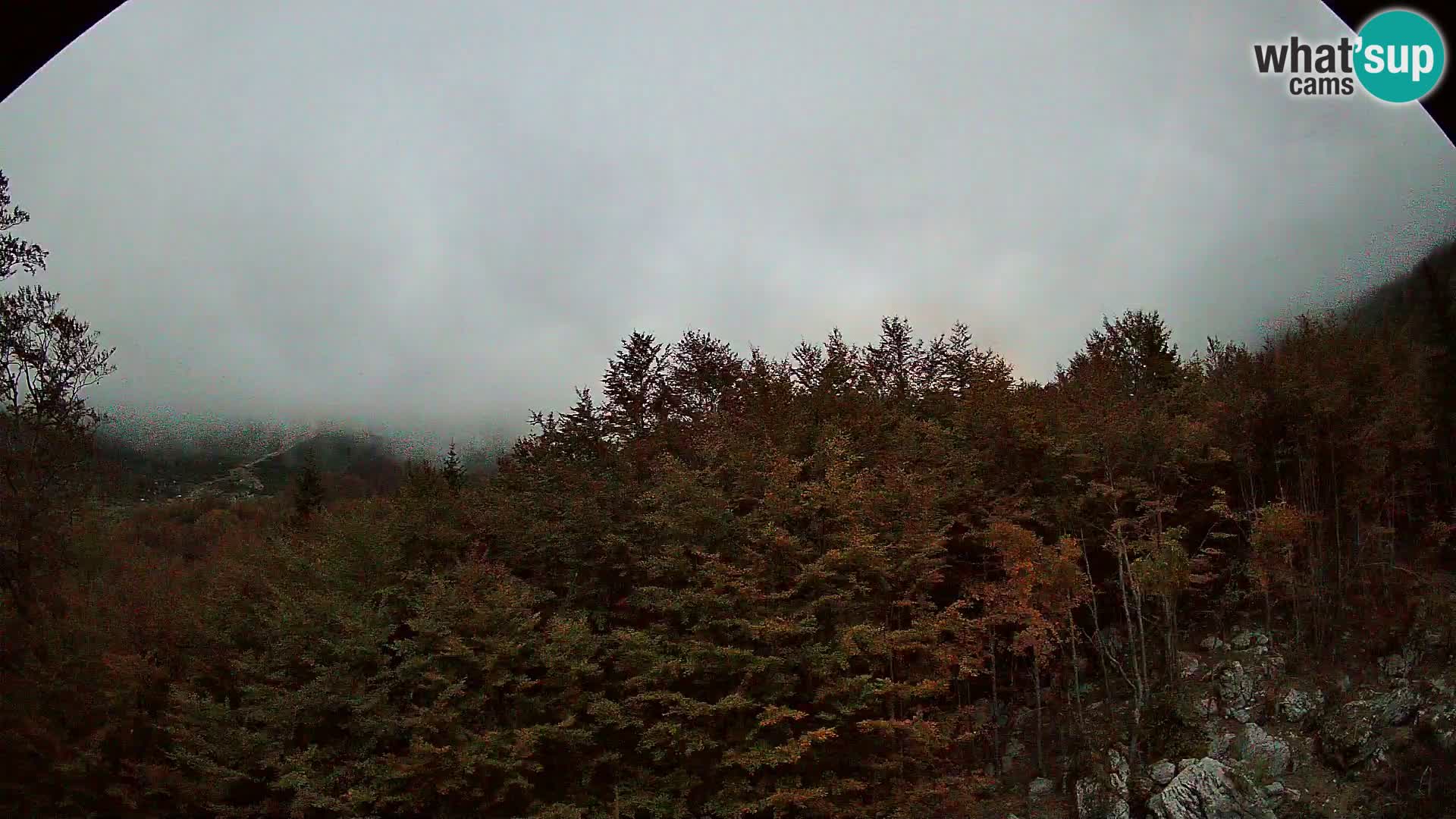 PLANINA RAZOR webcam (1315) | view to Vogel and Globoko