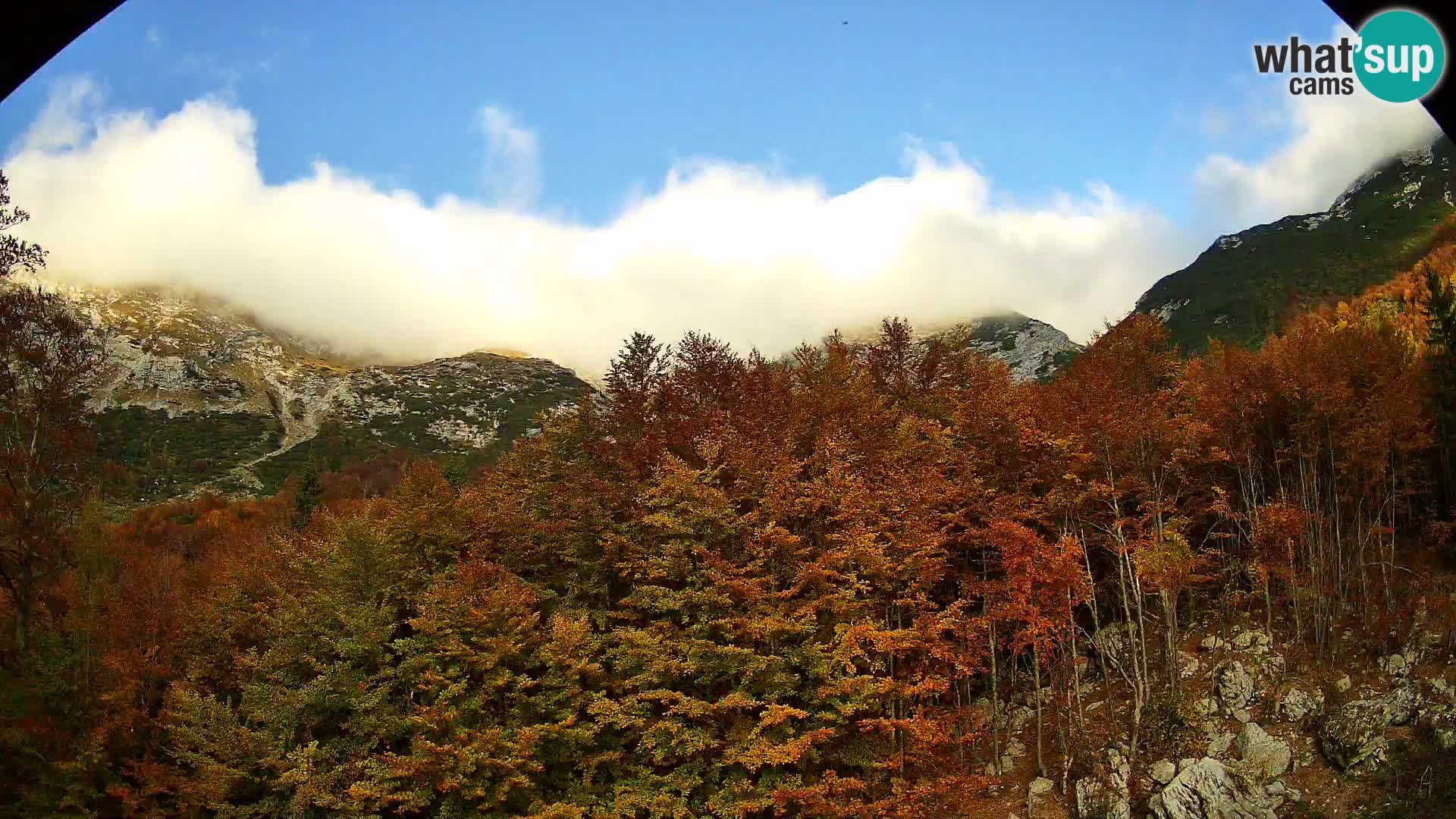 PLANINA RAZOR web kamera (1315) | pogled na Vogel i Globoko