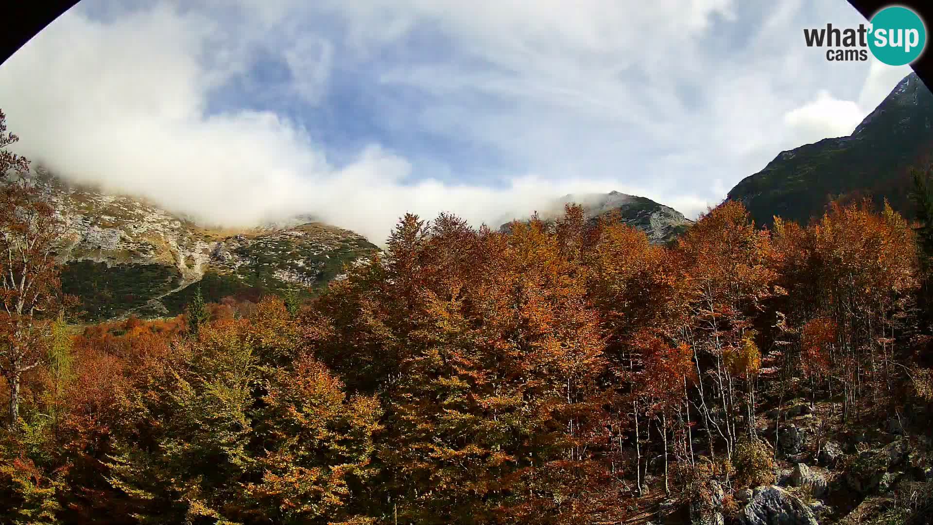 Livecam PLANINA RAZOR (1315) | vue sur Vogel et Globoko
