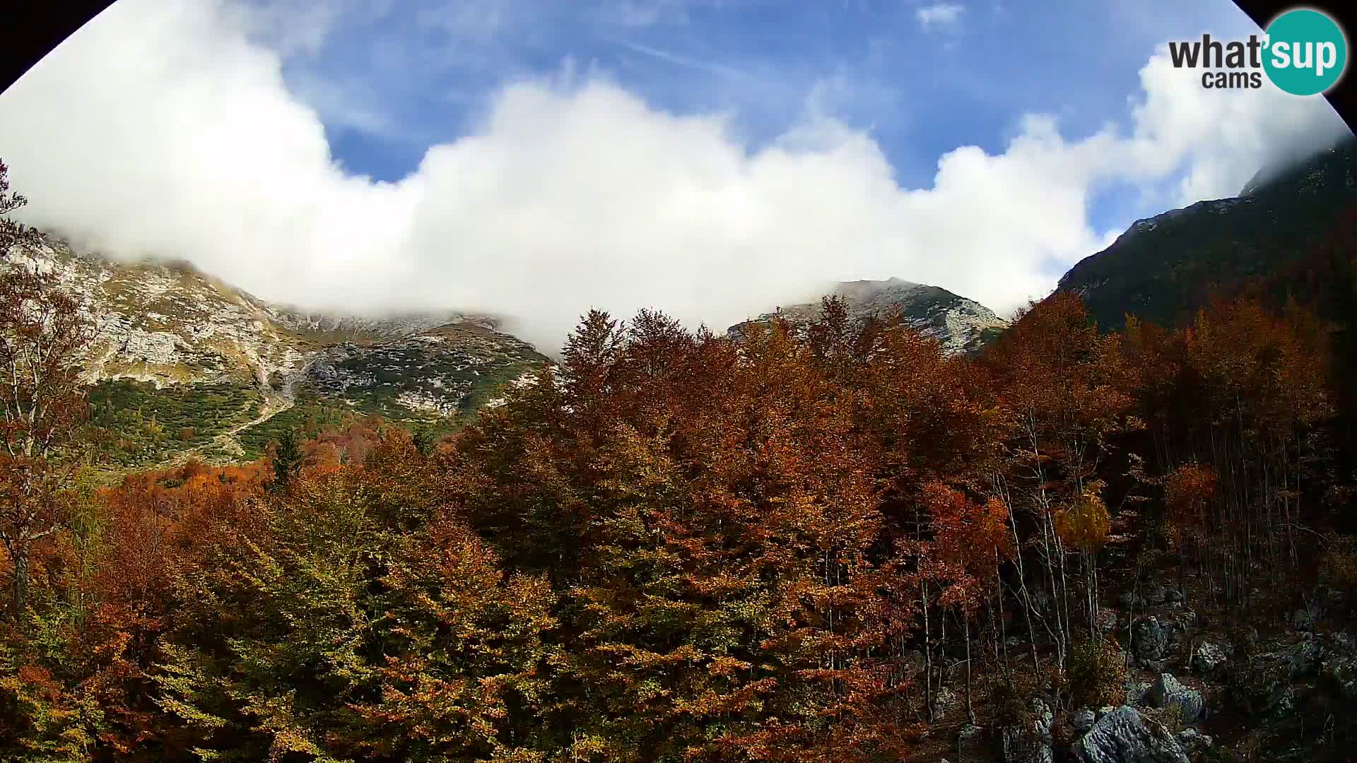 Webcam PLANINA RAZOR (1315) | Blick auf Vogel und Globoko