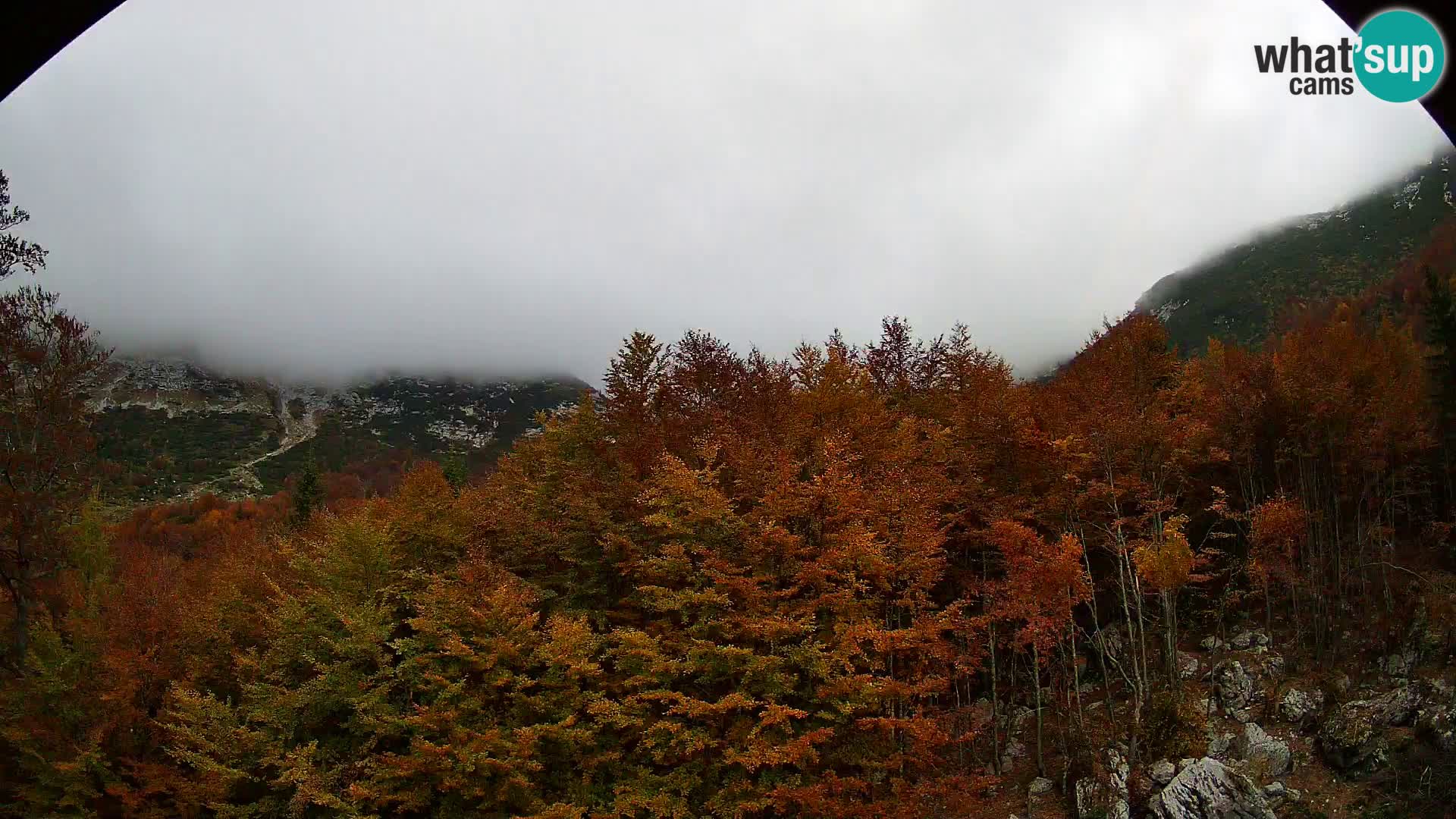Livecam PLANINA RAZOR (1315) | vue sur Vogel et Globoko